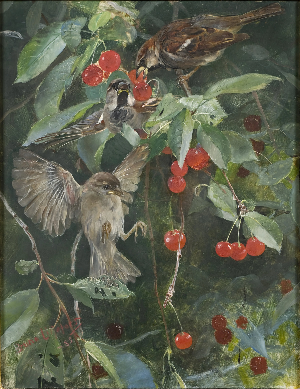 Bruno Liljefors - Sparrows in a Cherry Tree (1905)