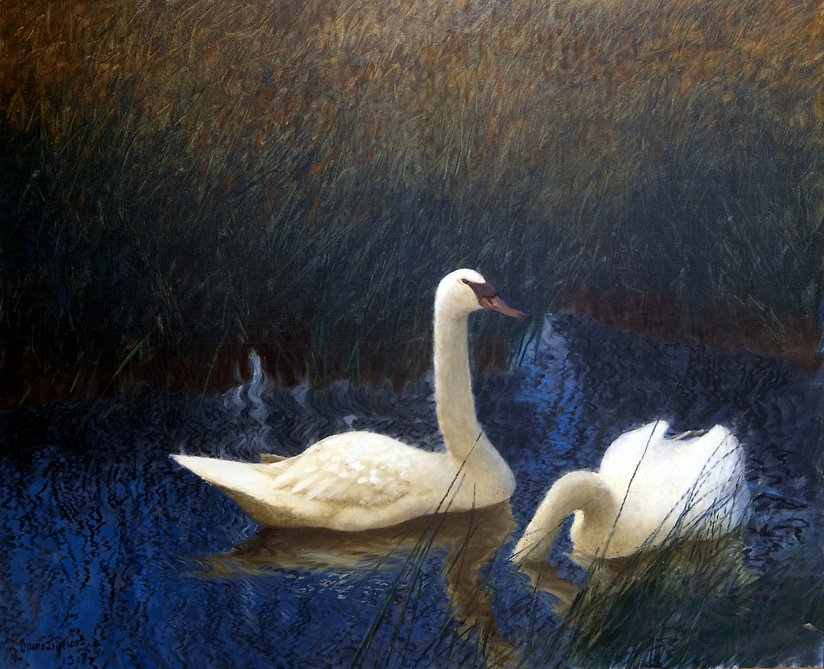 Bruno Liljefors - Swans in Reeds (1907)