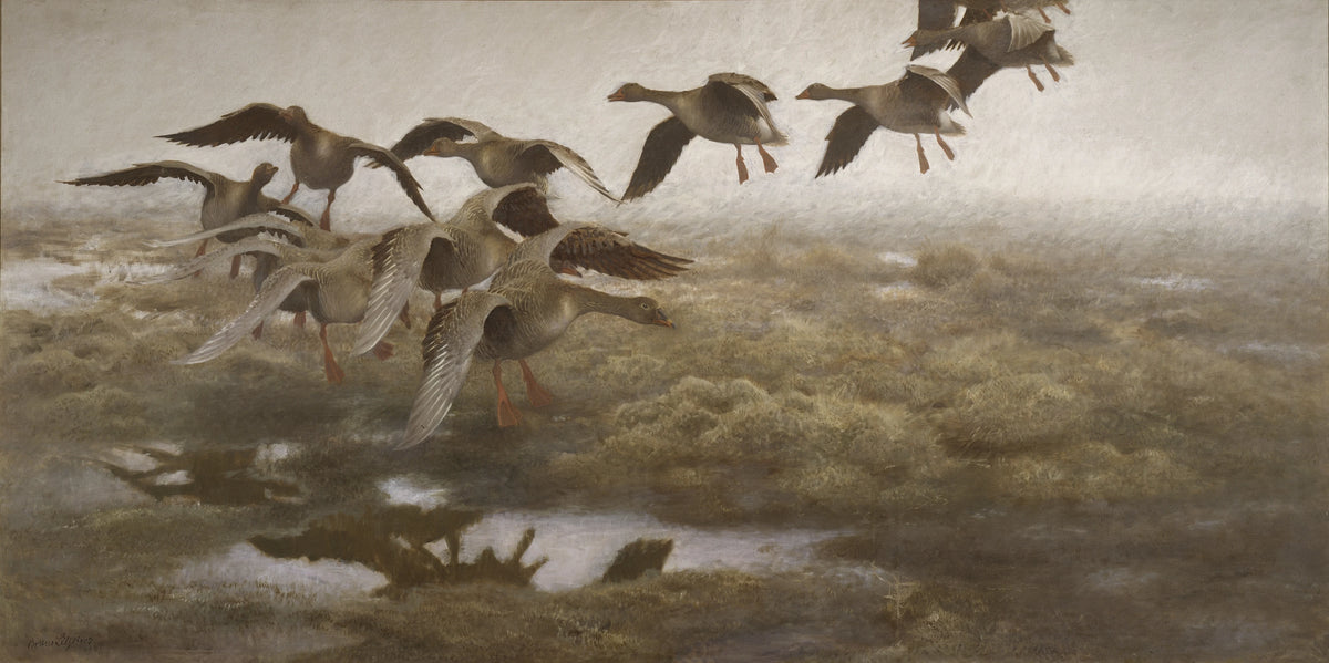Bruno Liljefors - Wildgeese Settling (1907)