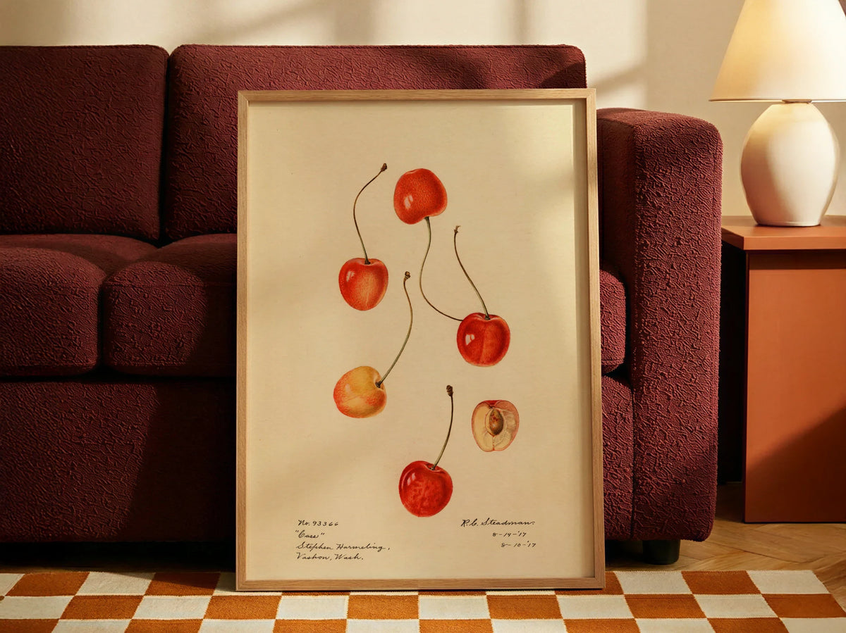 Rockpaperart Seçkisi slider 3 — Royal Charles Steadman, Prunus avium Cass