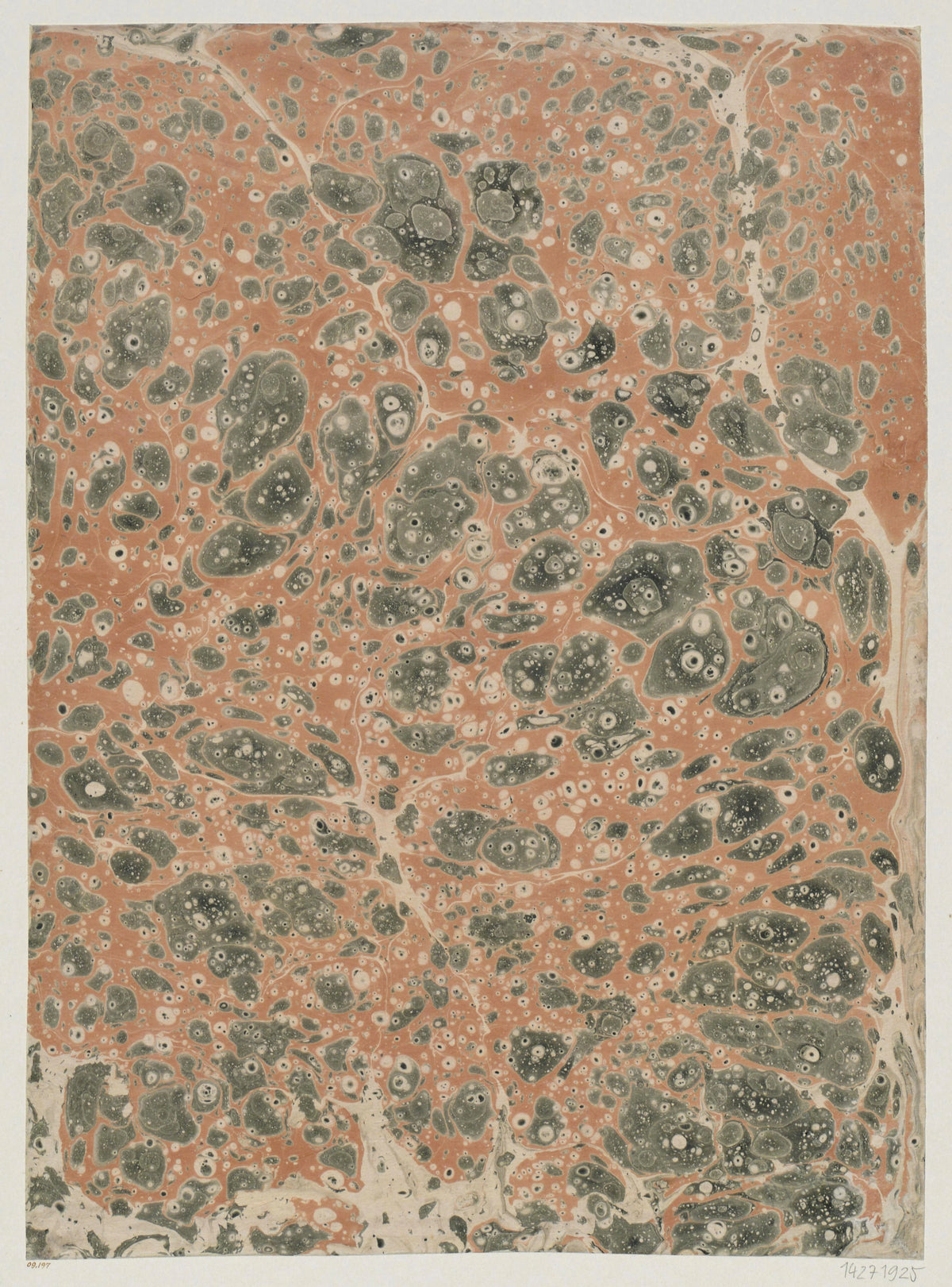 Anna Plate - Schrotmarmorpapier (1899)