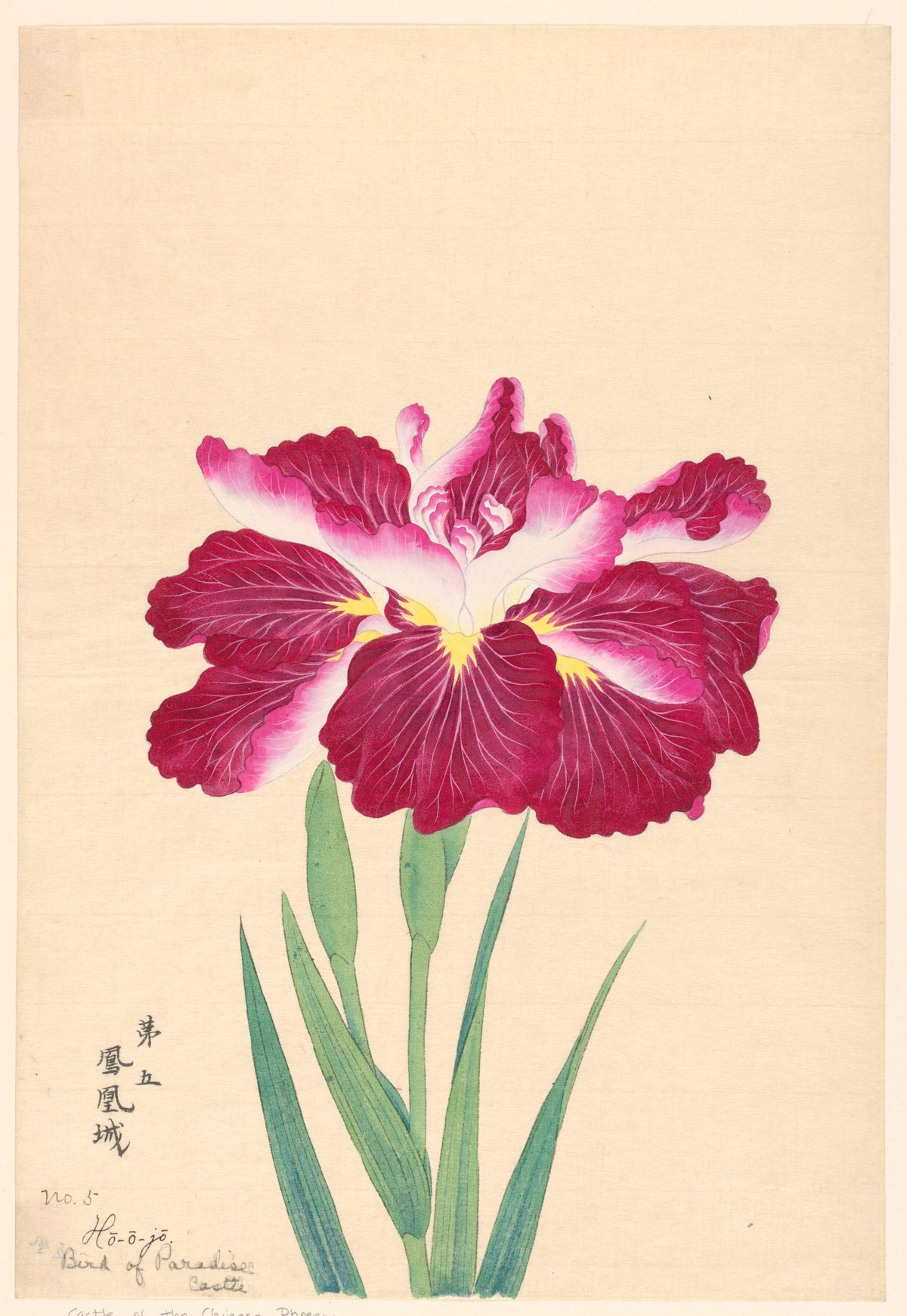 Anonim - Bird of Paradise Castle (Ho-o-jo) (1910)