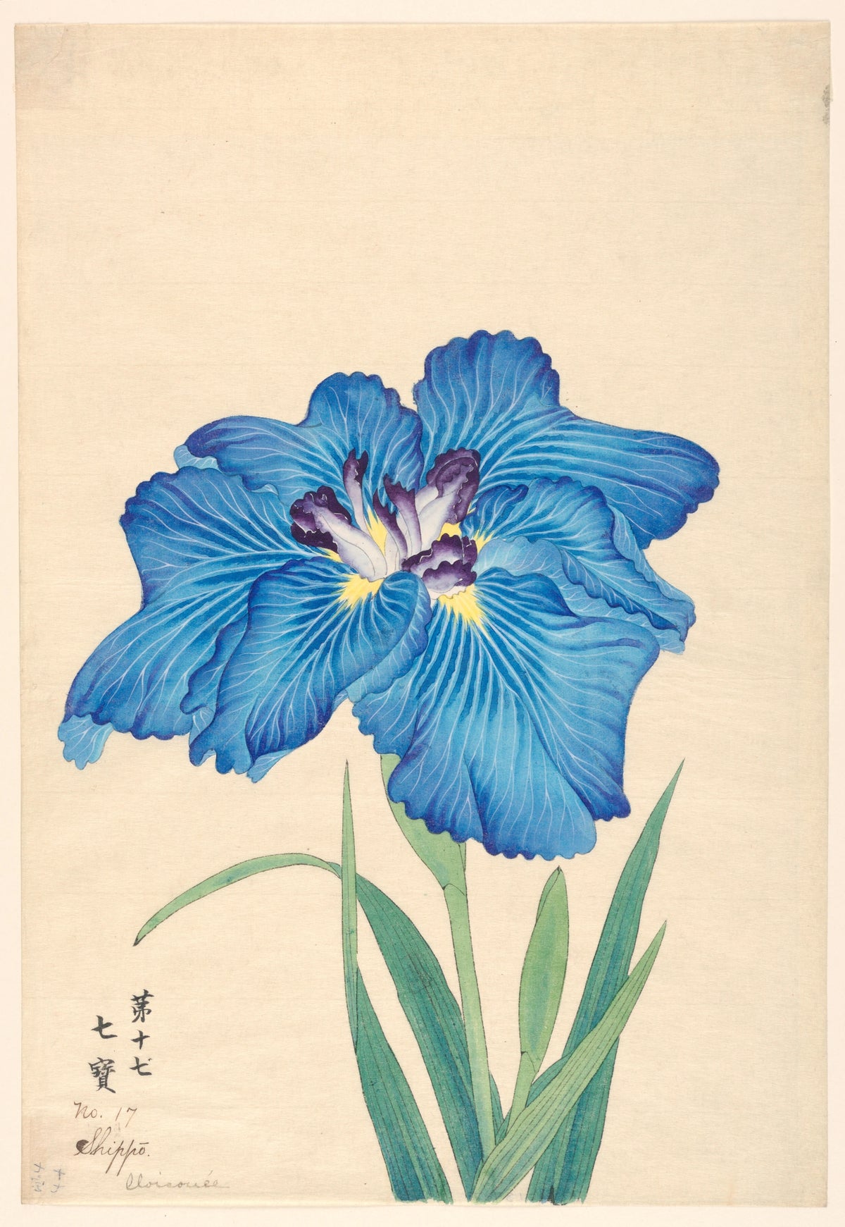 Anonim - Cloisonnée (Shippo) (1910)