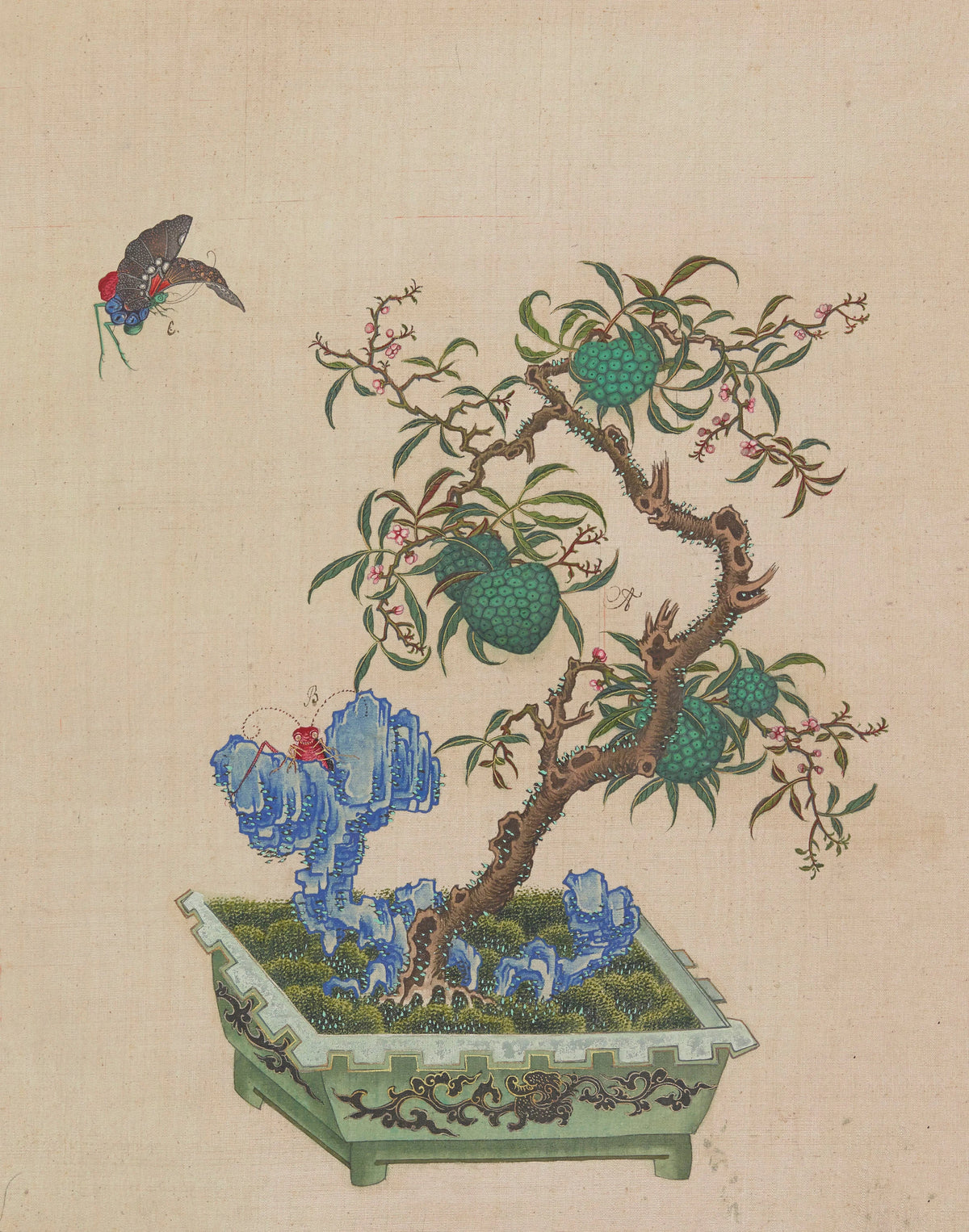 Anonim - Flowers, birds and insects Pl.16 (18th century)