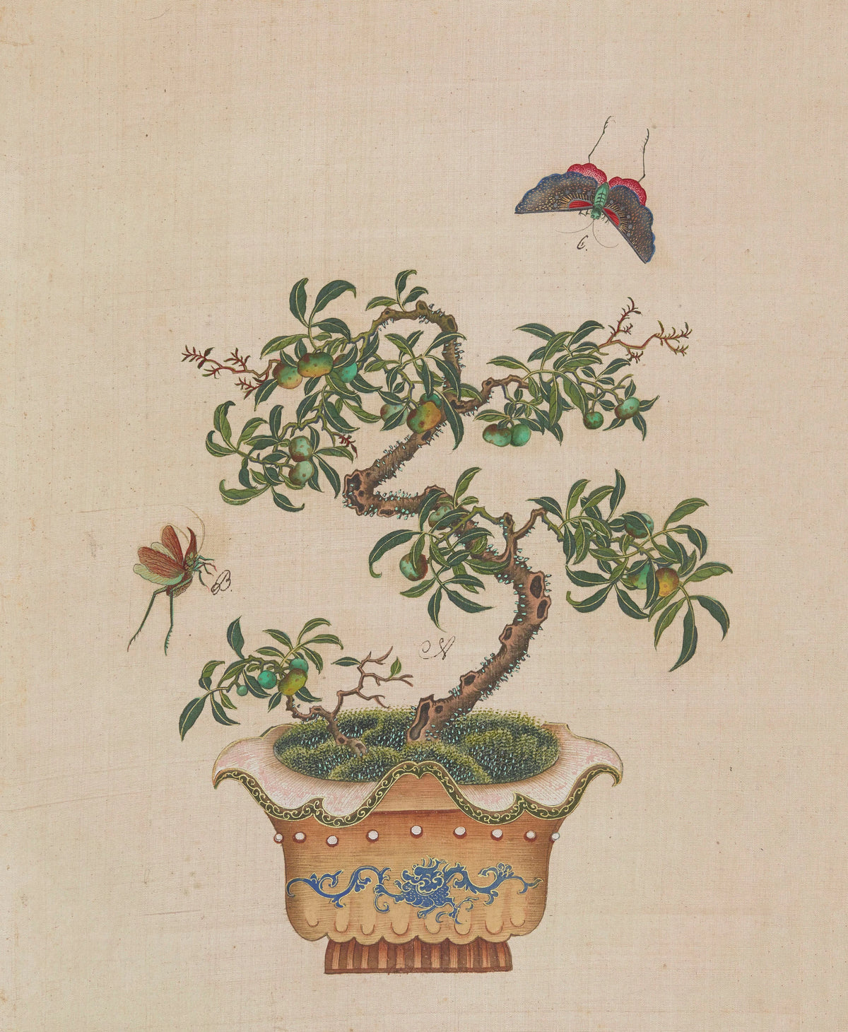 Anonim - Flowers, birds and insects Pl.30 (18th century)