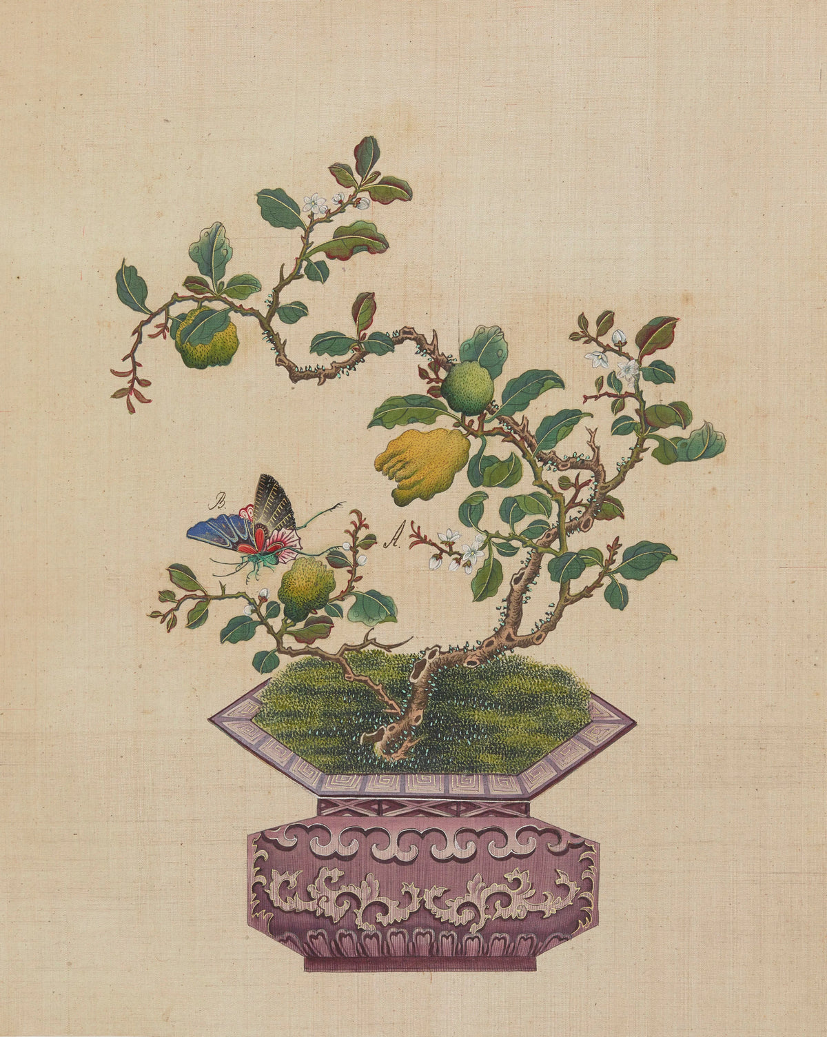 Anonim - Flowers, birds and insects Pl.31 (18th century)