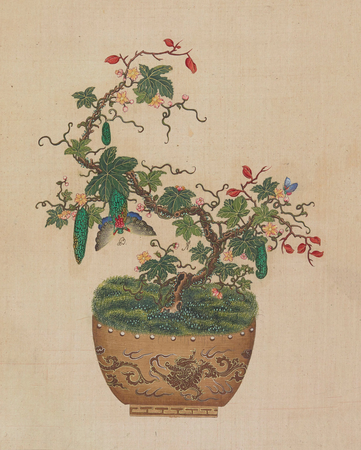 Anonim - Flowers, birds and insects Pl.36 (18th century)
