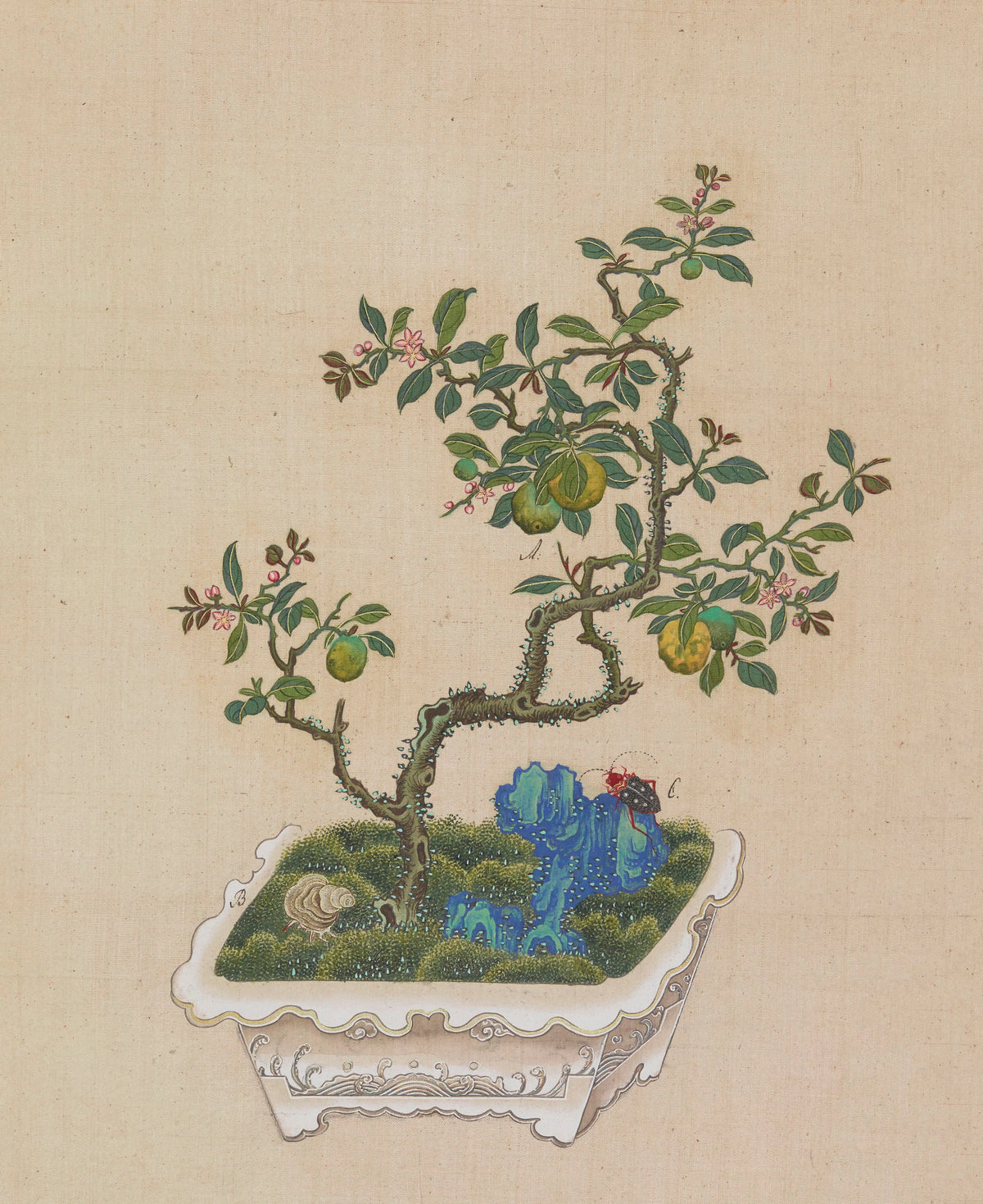Anonim - Flowers, birds and insects Pl.38 (18th century)