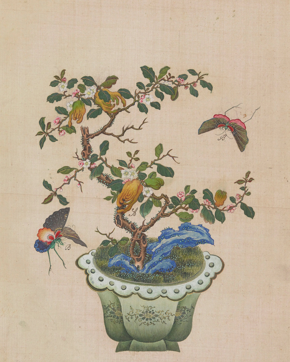 Anonim - Flowers, birds and insects Pl.43 (18th century)