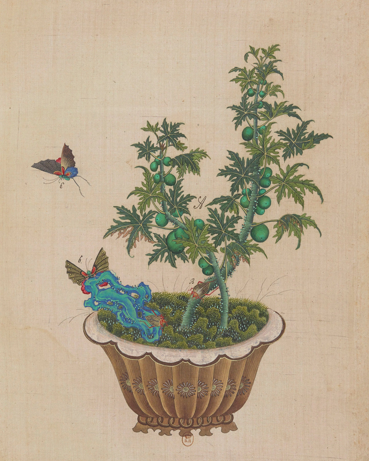 Anonim - Flowers, birds and insects Pl.45 (18th century)