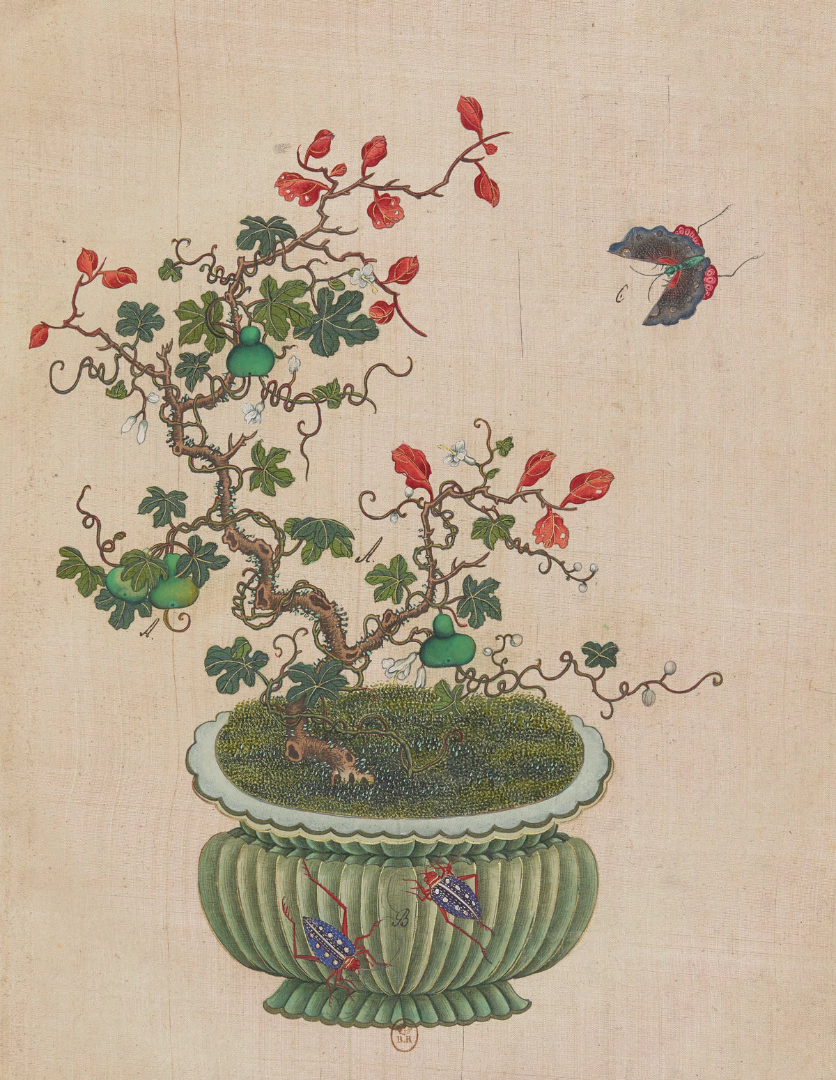 Anonim - Flowers, birds and insects Pl.47 (18th century)