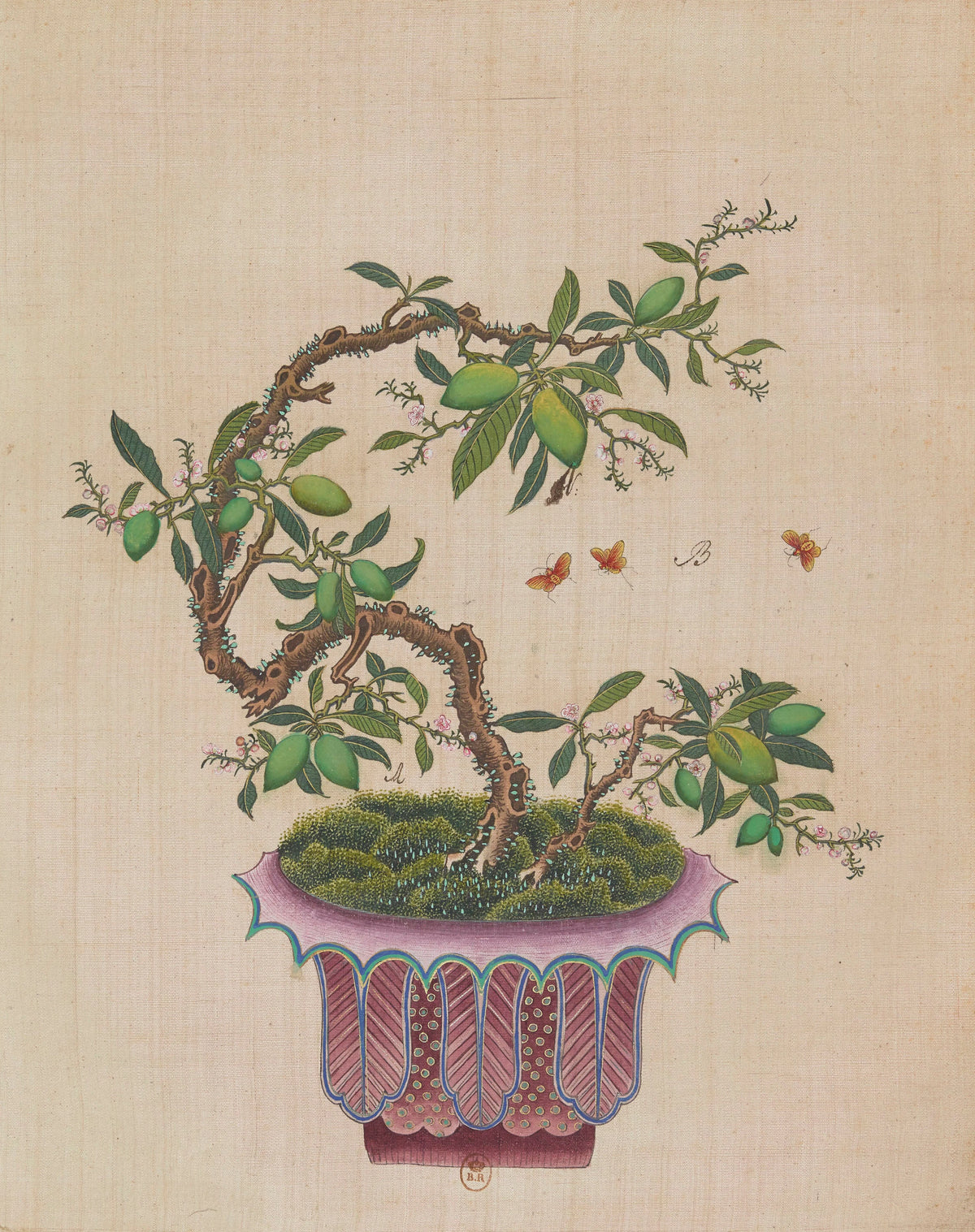 Anonim - Flowers, birds and insects Pl.48 (18th century)