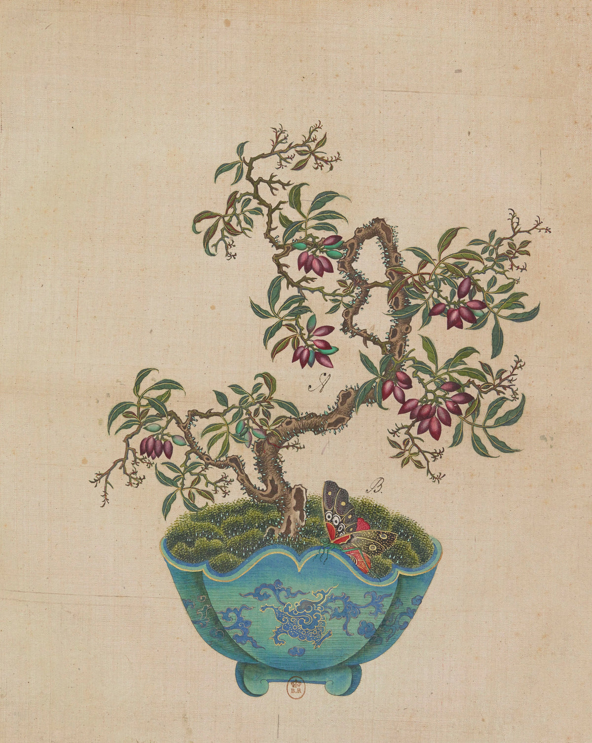 Anonim - Flowers, birds and insects Pl.50 (18th century)