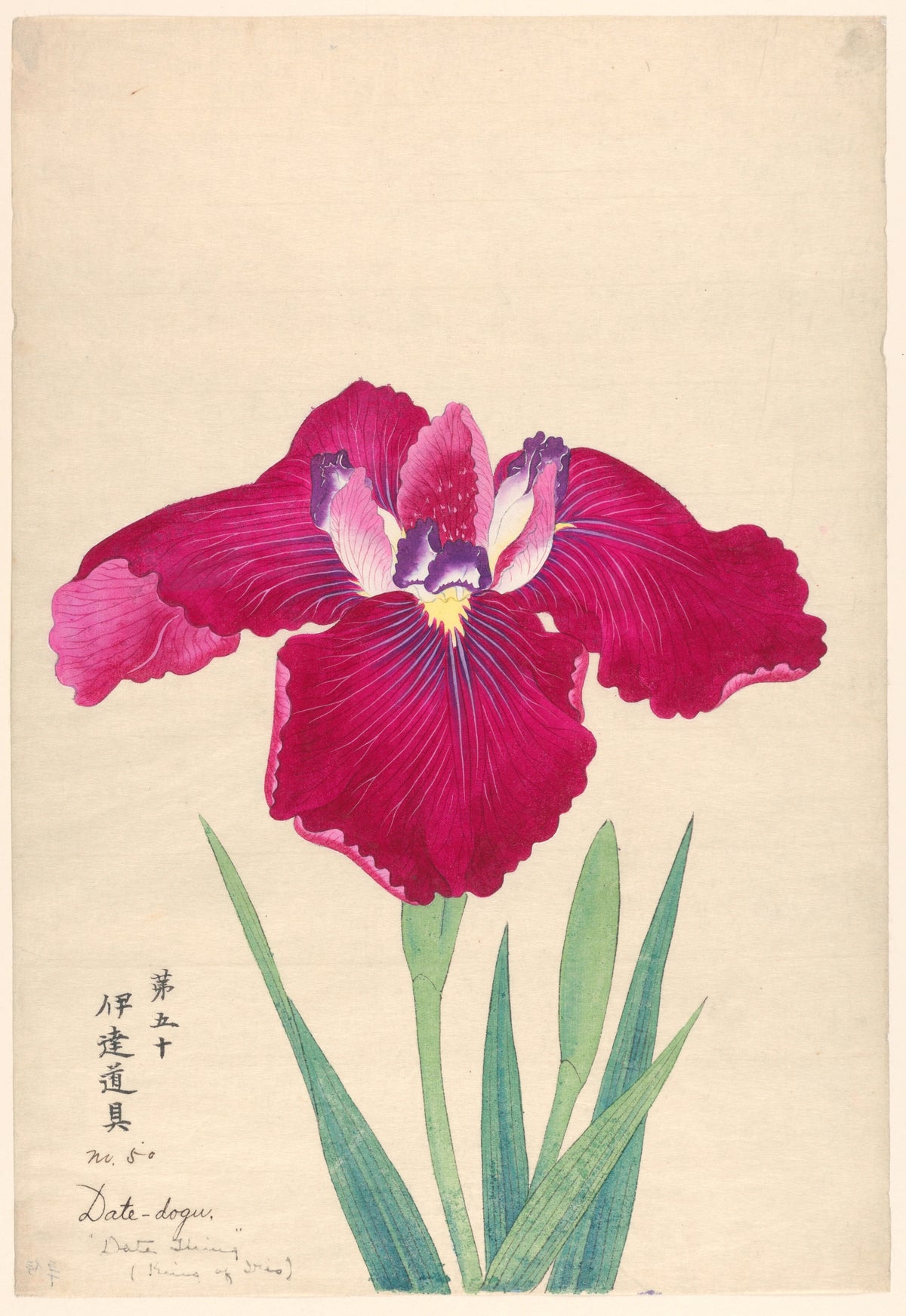 Anonim - King of Iris (Date-dogu) (1910)