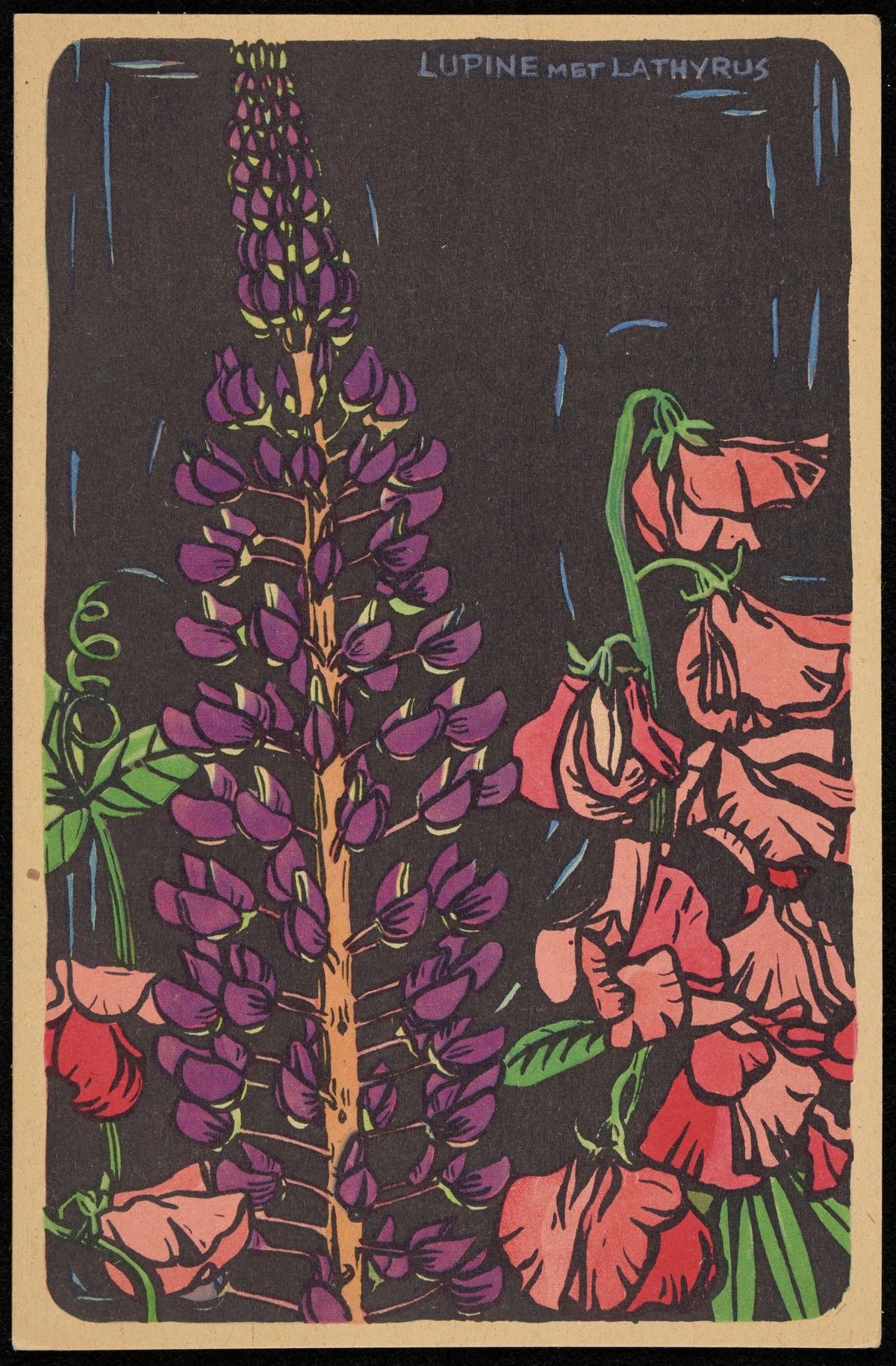 Anonim - Lupine met Lathyrus (1906)