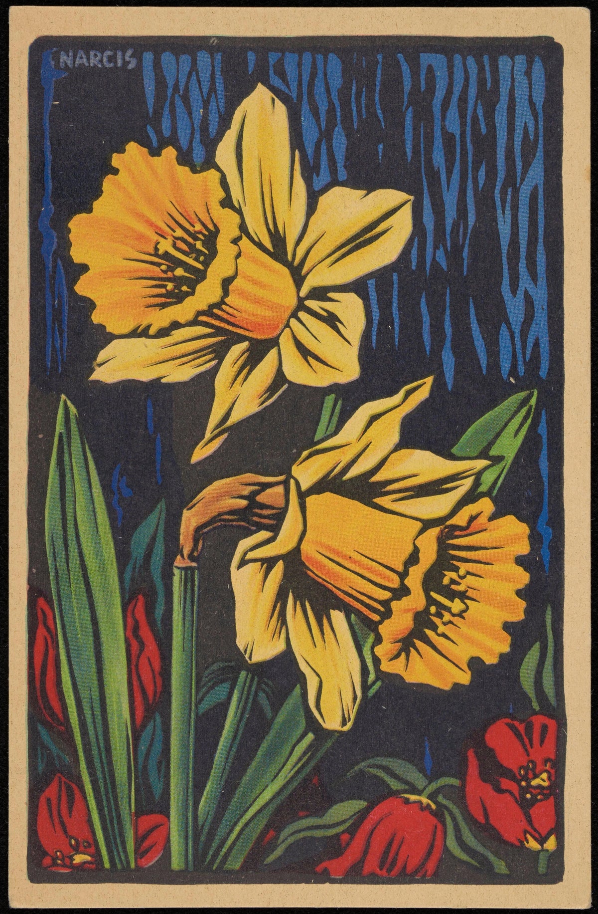 Anonim - Narcis (1906)