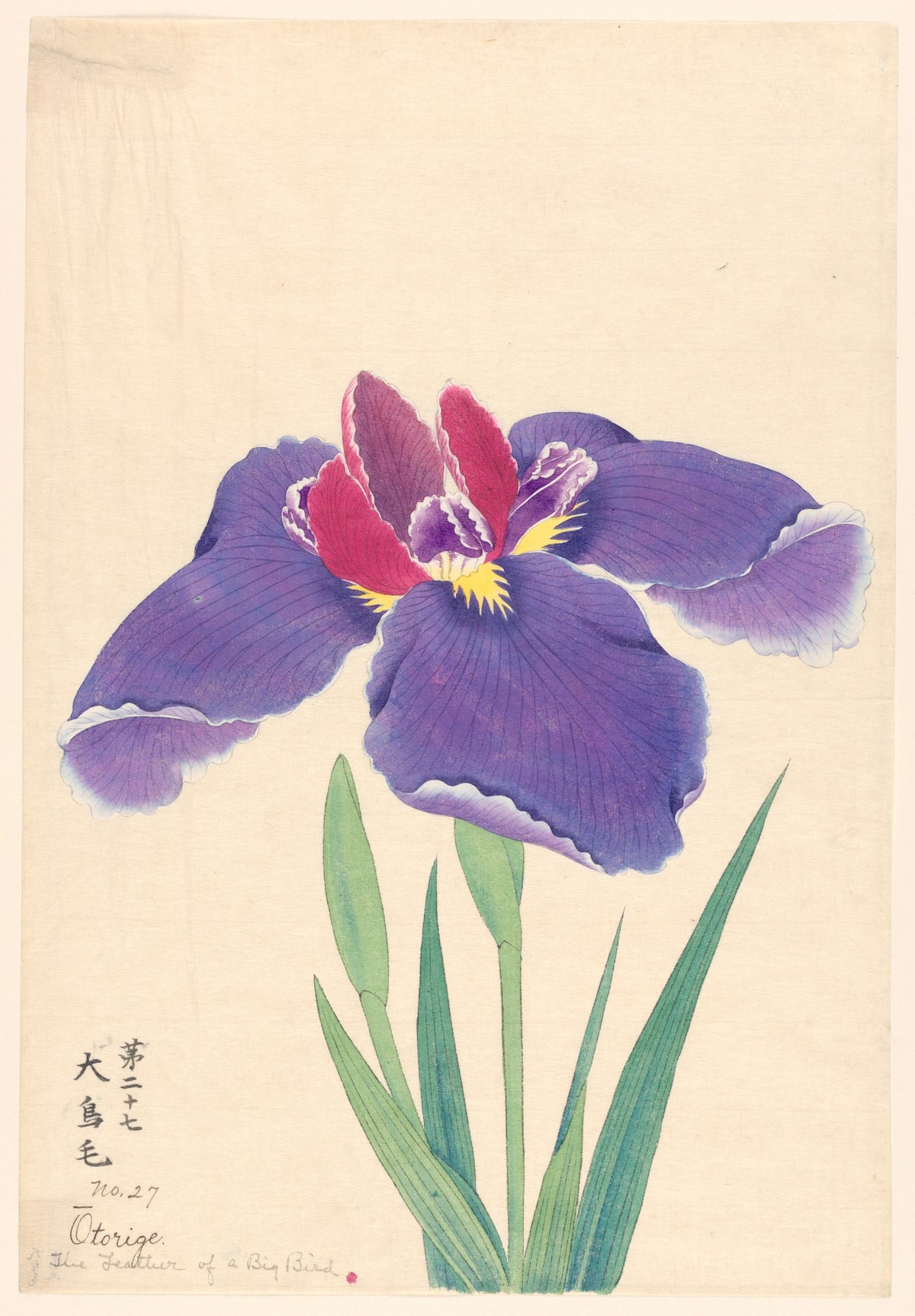 Anonim - The Feather of a Big Bird (Otorige) (1910)