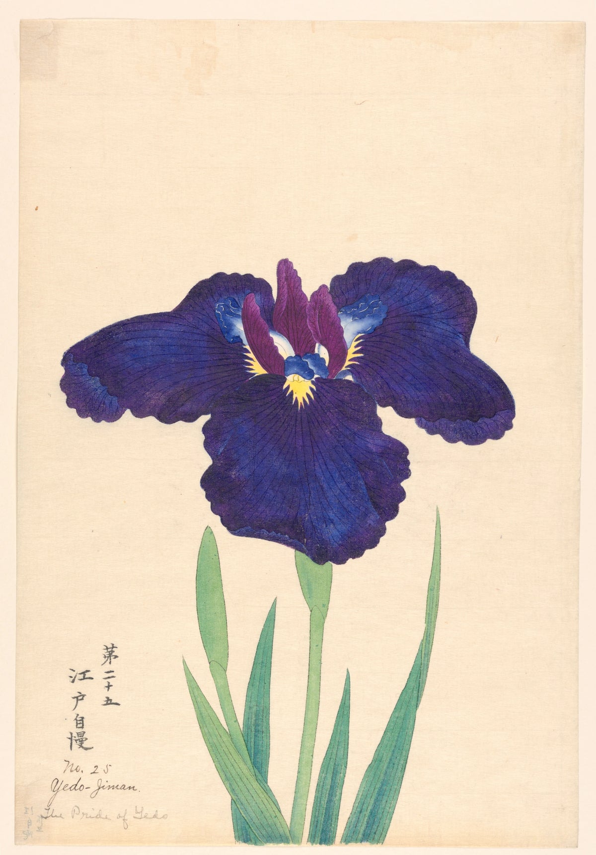 Anonim - The Pride of Yedo (Yedo-Jiman) (1910)