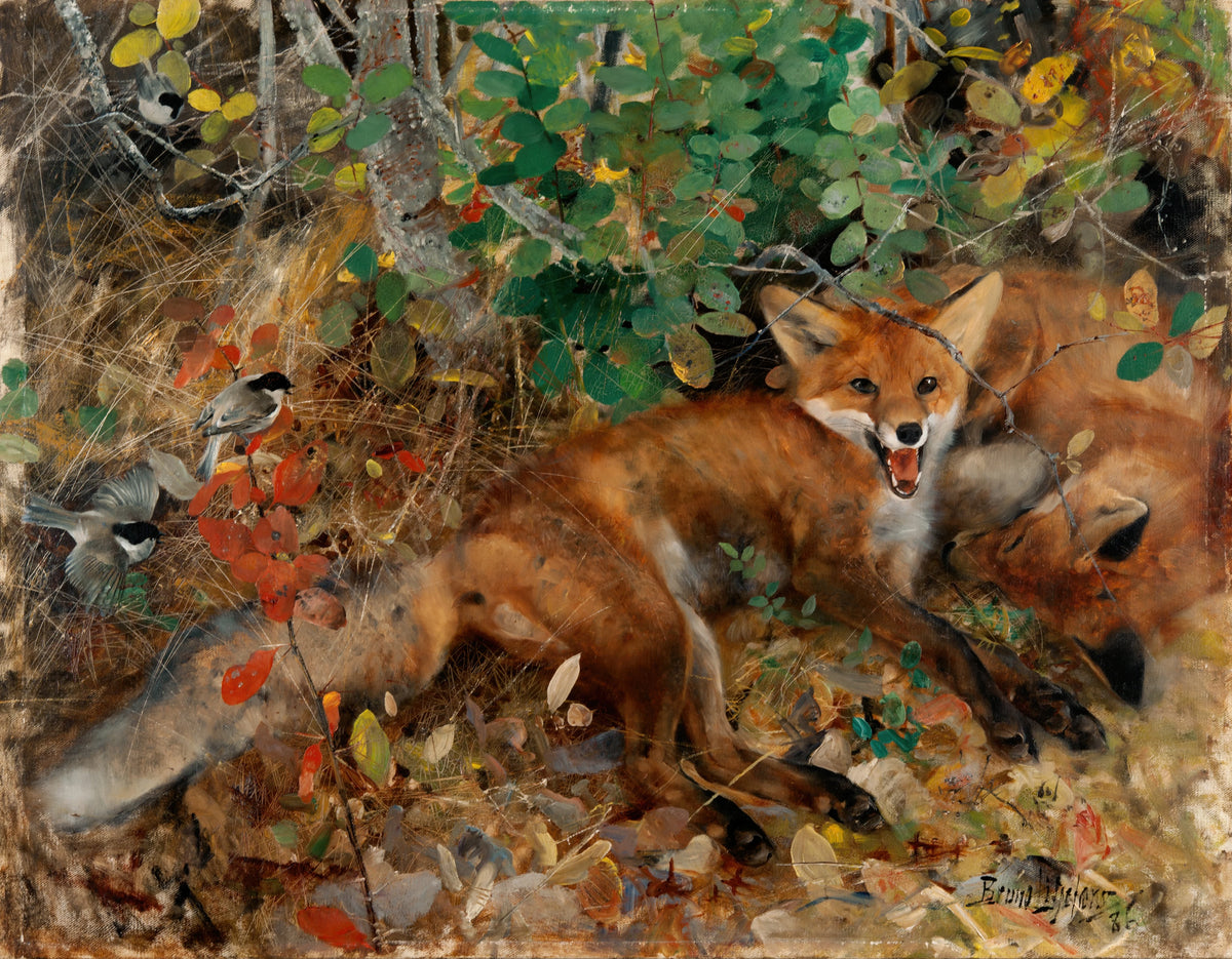 Bruno Liljefors - Foxes (1886)