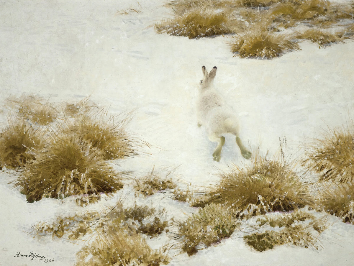 Bruno Liljefors - Vinterhare Bland Tuvor (The Snow Hare) (1906)