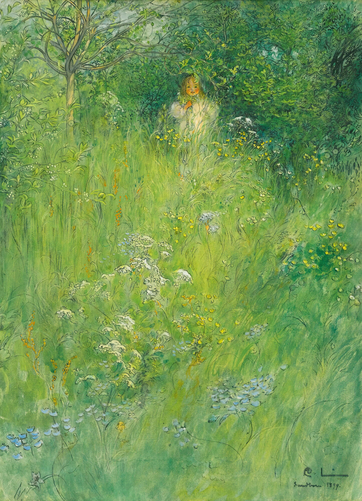 Carl Larsson - A Fairy (Kersti In The Meadow) (1899)