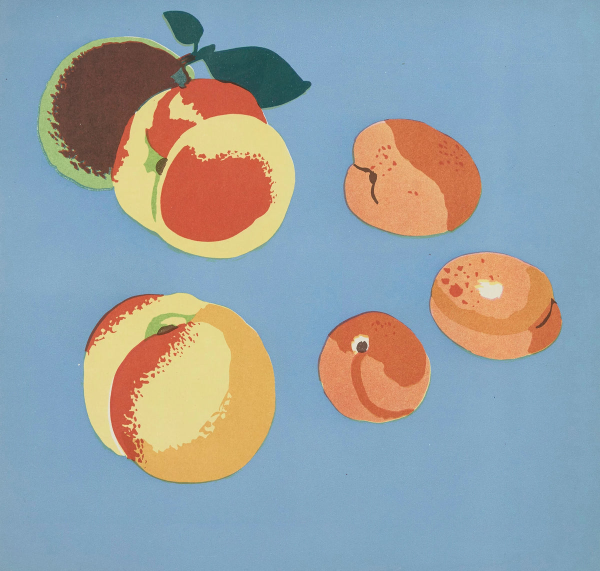 Elena Pavlovna Gertik - Images à colorier, Des Fruits Pl.09 (1935)
