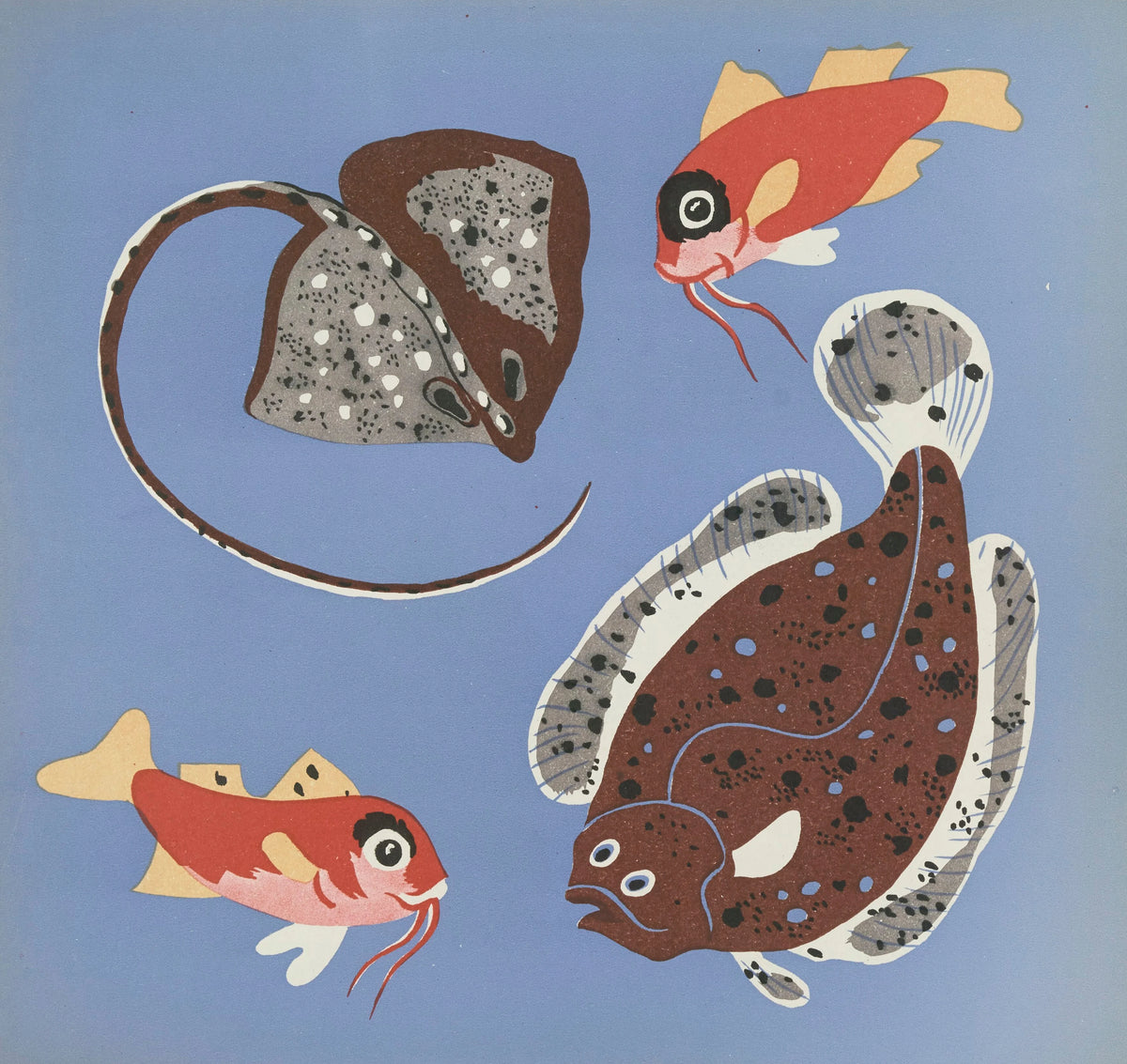 Elena Pavlovna Gertik - Images à colorier, Des Poissons Pl.11 (1935)