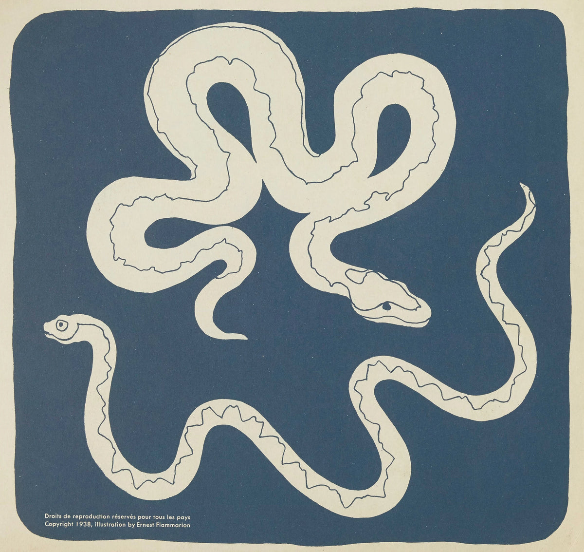 Elena Pavlovna Gertik - Nouvelles images à colorier, Reptiles Pl.02 (1938)