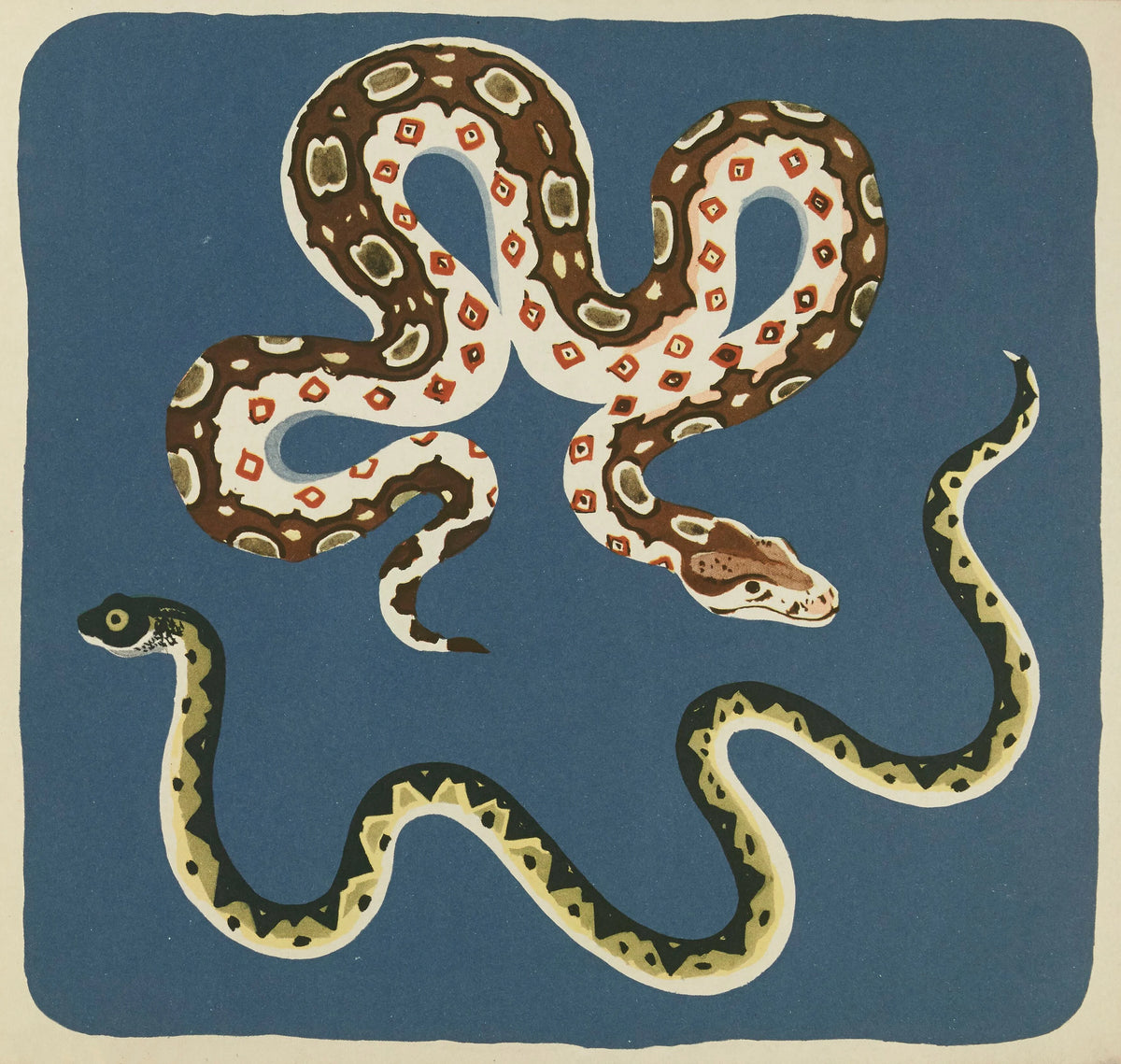Elena Pavlovna Gertik - Nouvelles images à colorier, Reptiles Pl.03 (1938)
