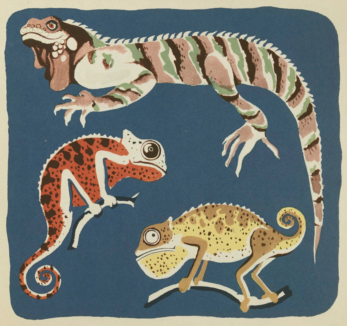 Elena Pavlovna Gertik - Nouvelles images à colorier, Reptiles Pl.07 (1938)