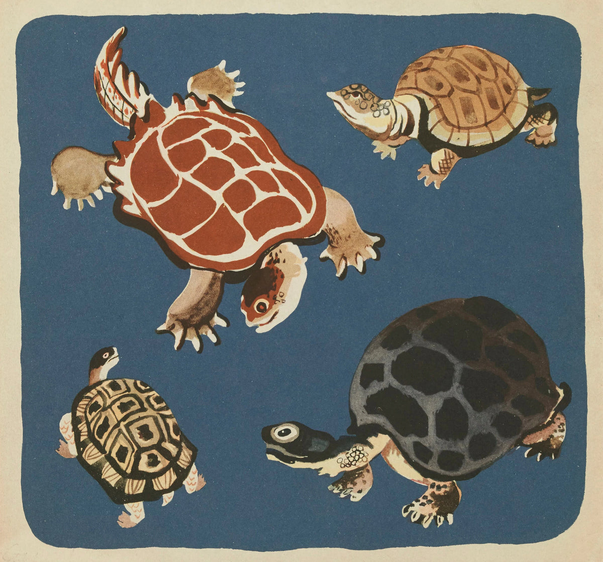 Elena Pavlovna Gertik - Nouvelles images à colorier, Reptiles Pl.16 (1938)