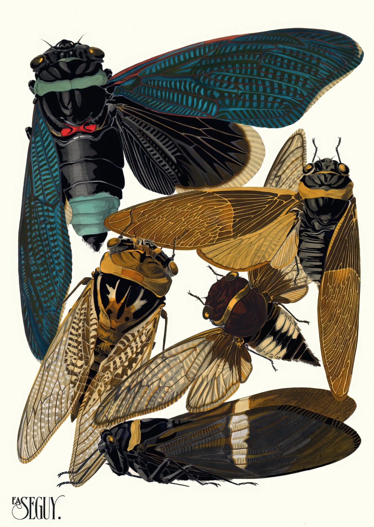 Emile-Allain Séguy - Insectes Pl.01 (1929)