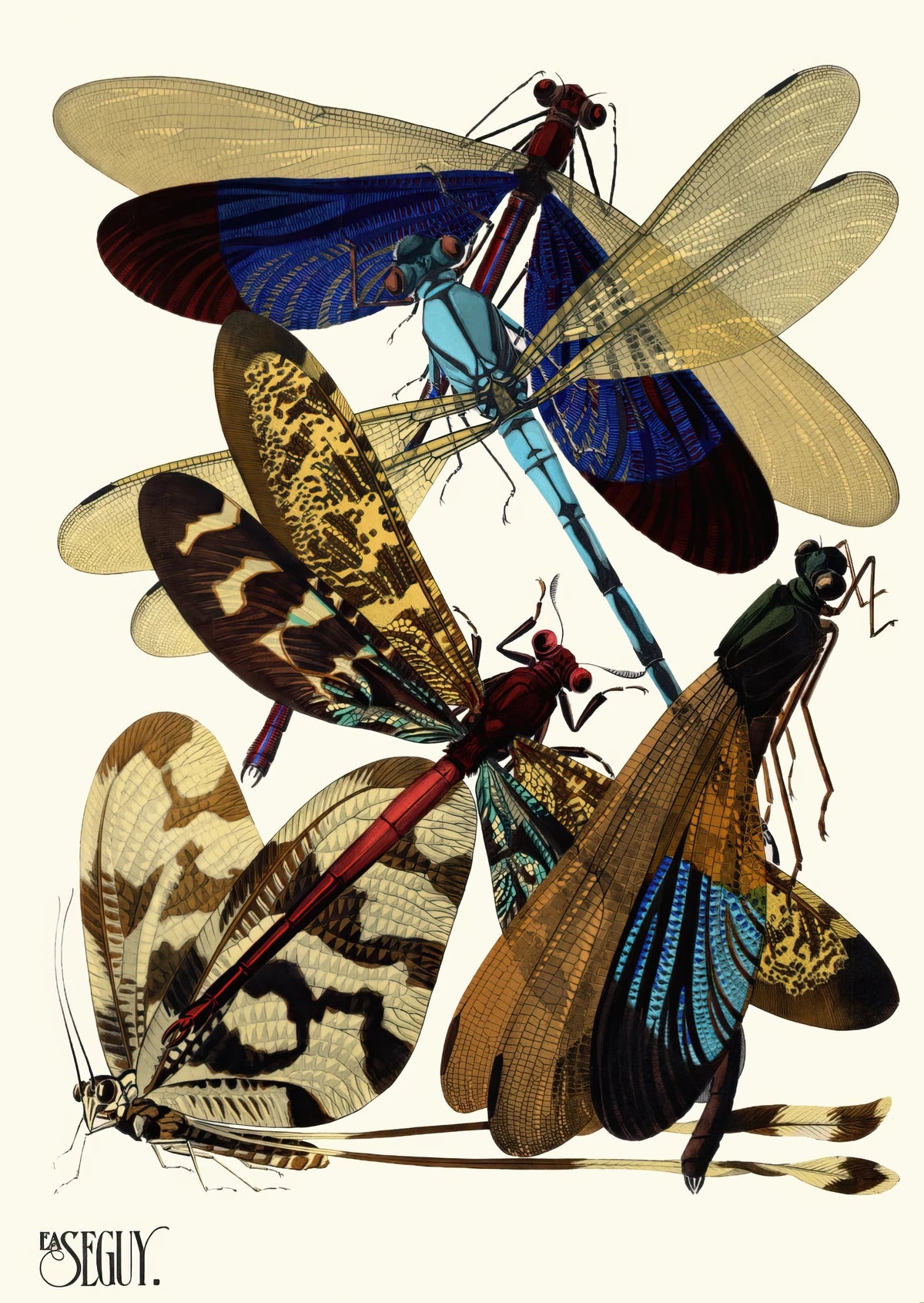 Emile-Allain Séguy - Insectes Pl.02 (1929)