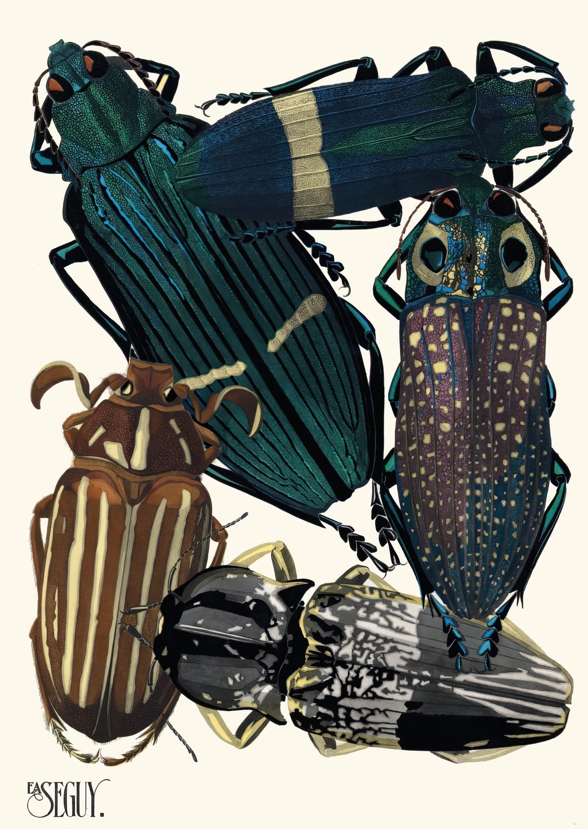 Emile-Allain Séguy - Insectes Pl.05 (1929)