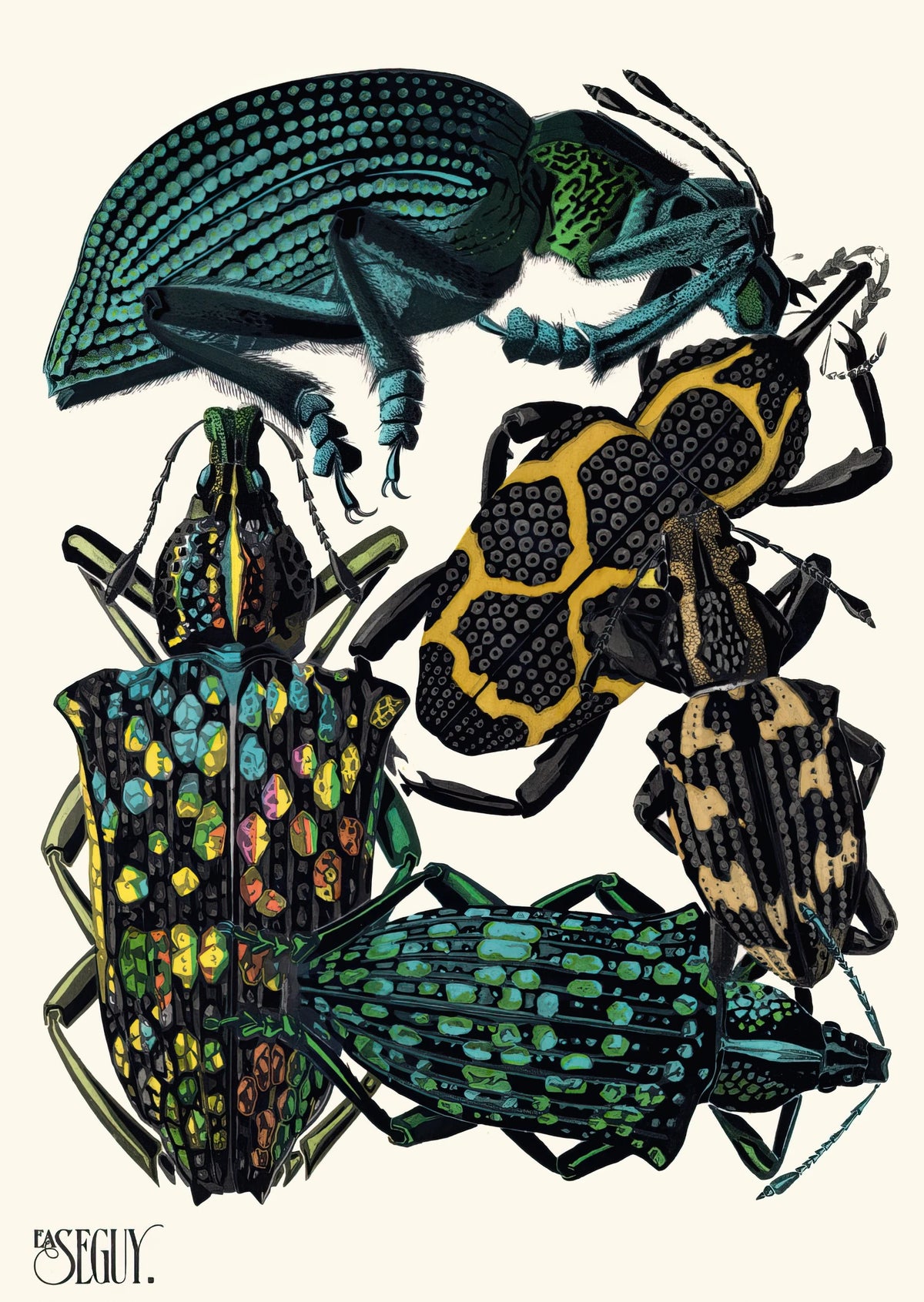 Emile-Allain Séguy - Insectes Pl.06 (1929)