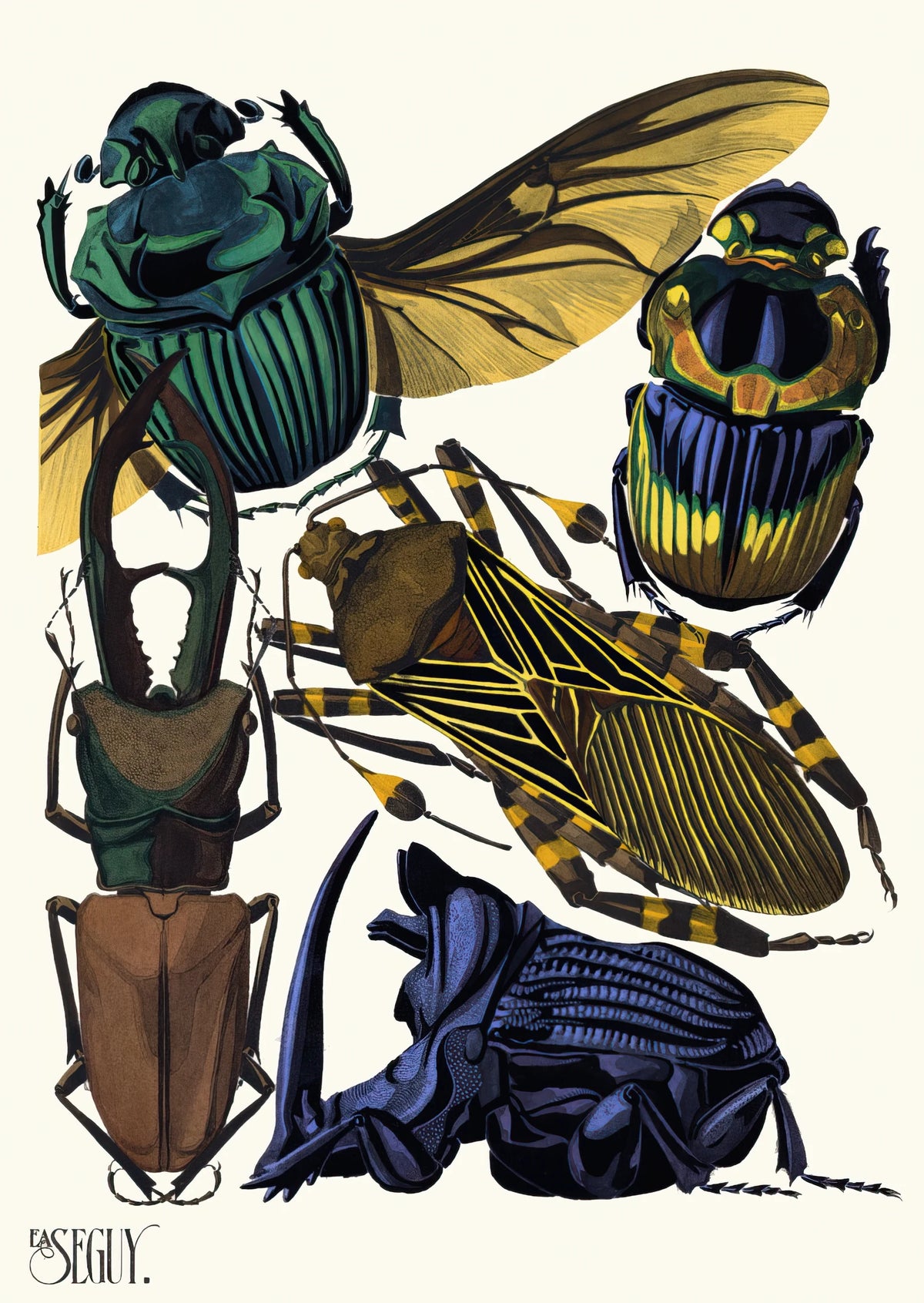 Emile-Allain Séguy - Insectes Pl.07 (1929)