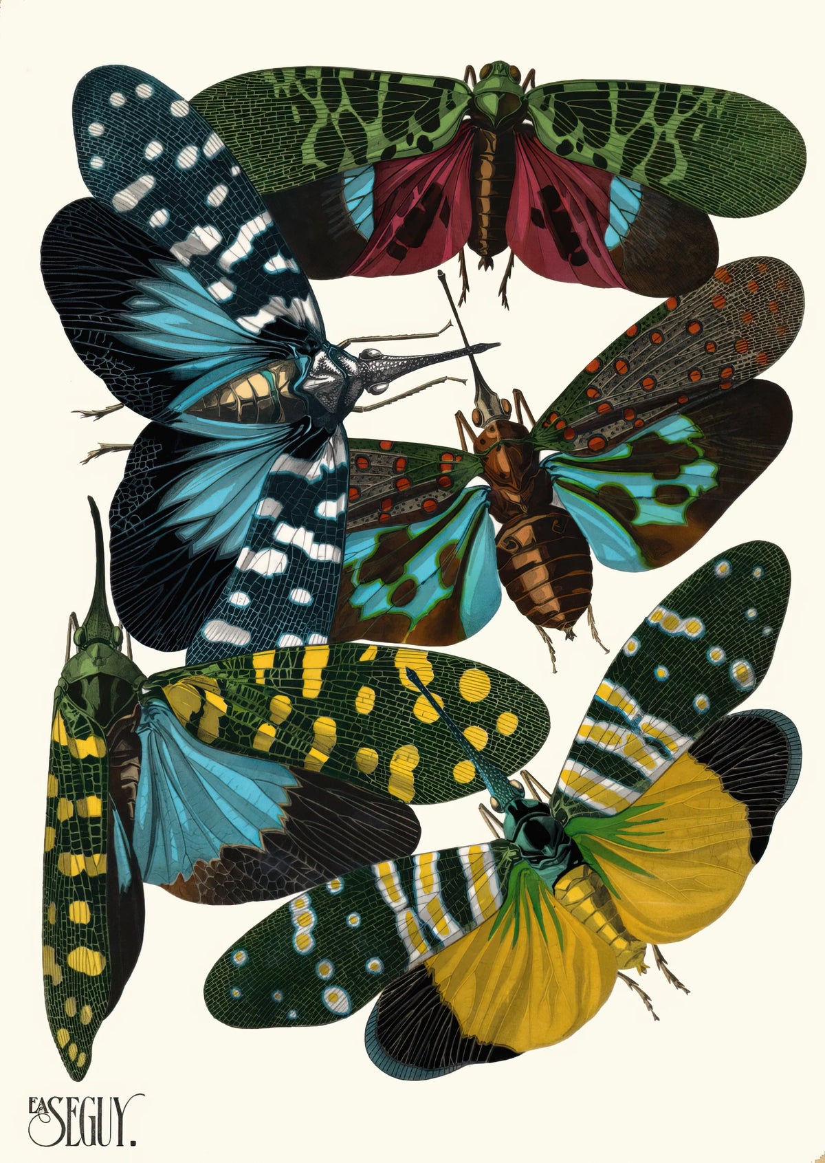 Emile-Allain Séguy - Insectes Pl.08 (1929)