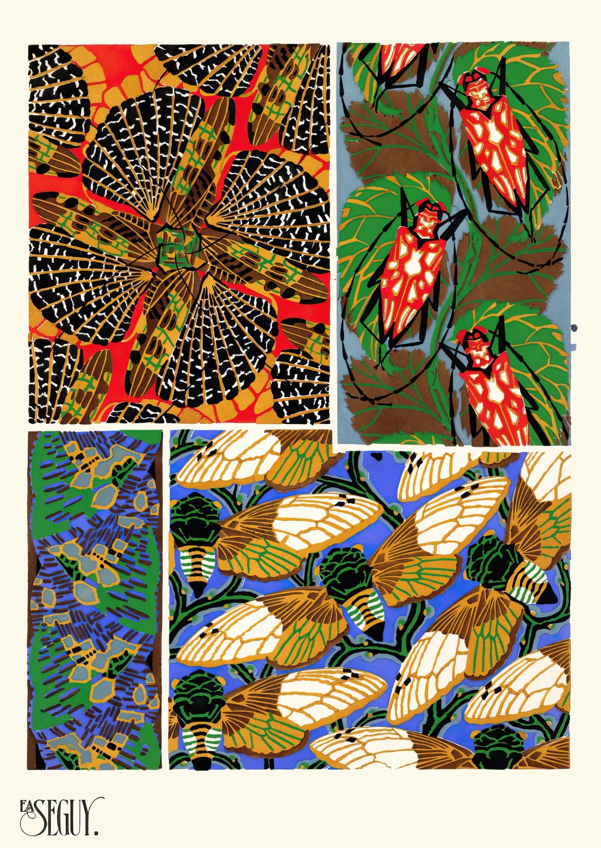 Emile-Allain Séguy - Insectes Pl.11 (1929)