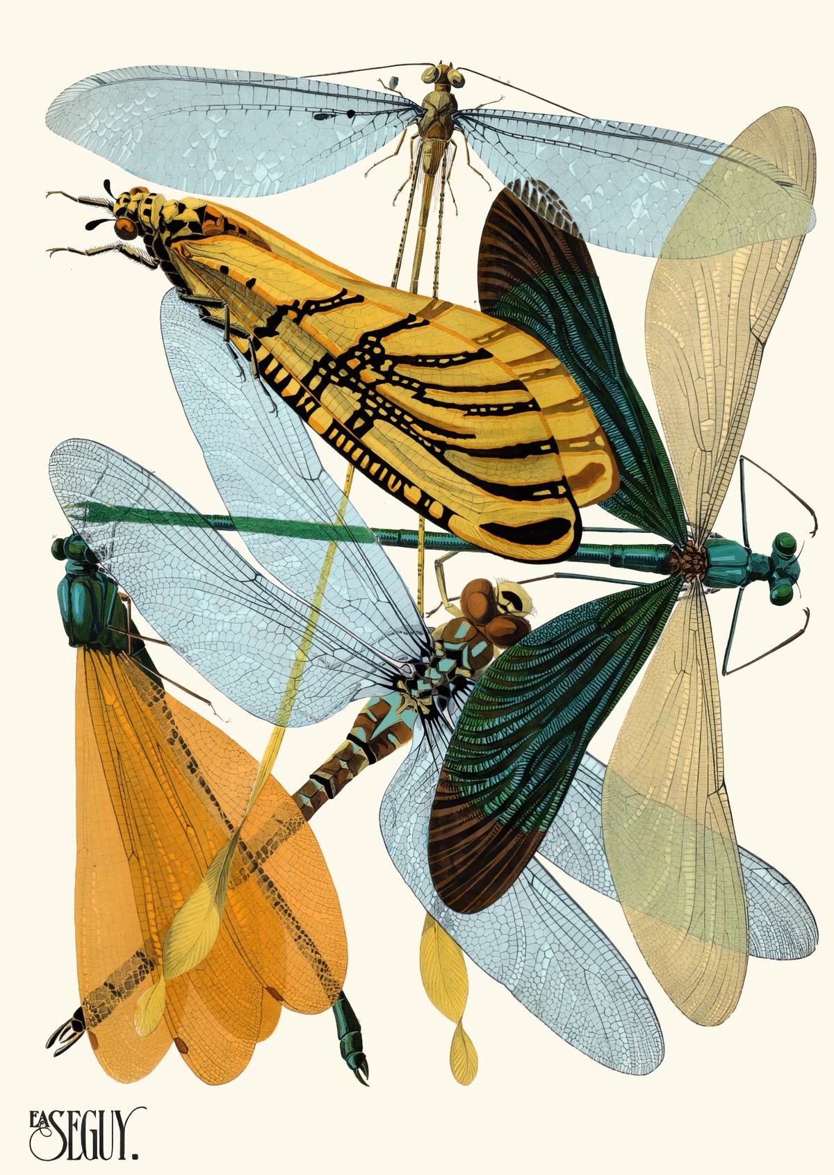 Emile-Allain Séguy - Insectes Pl.20 (1929)