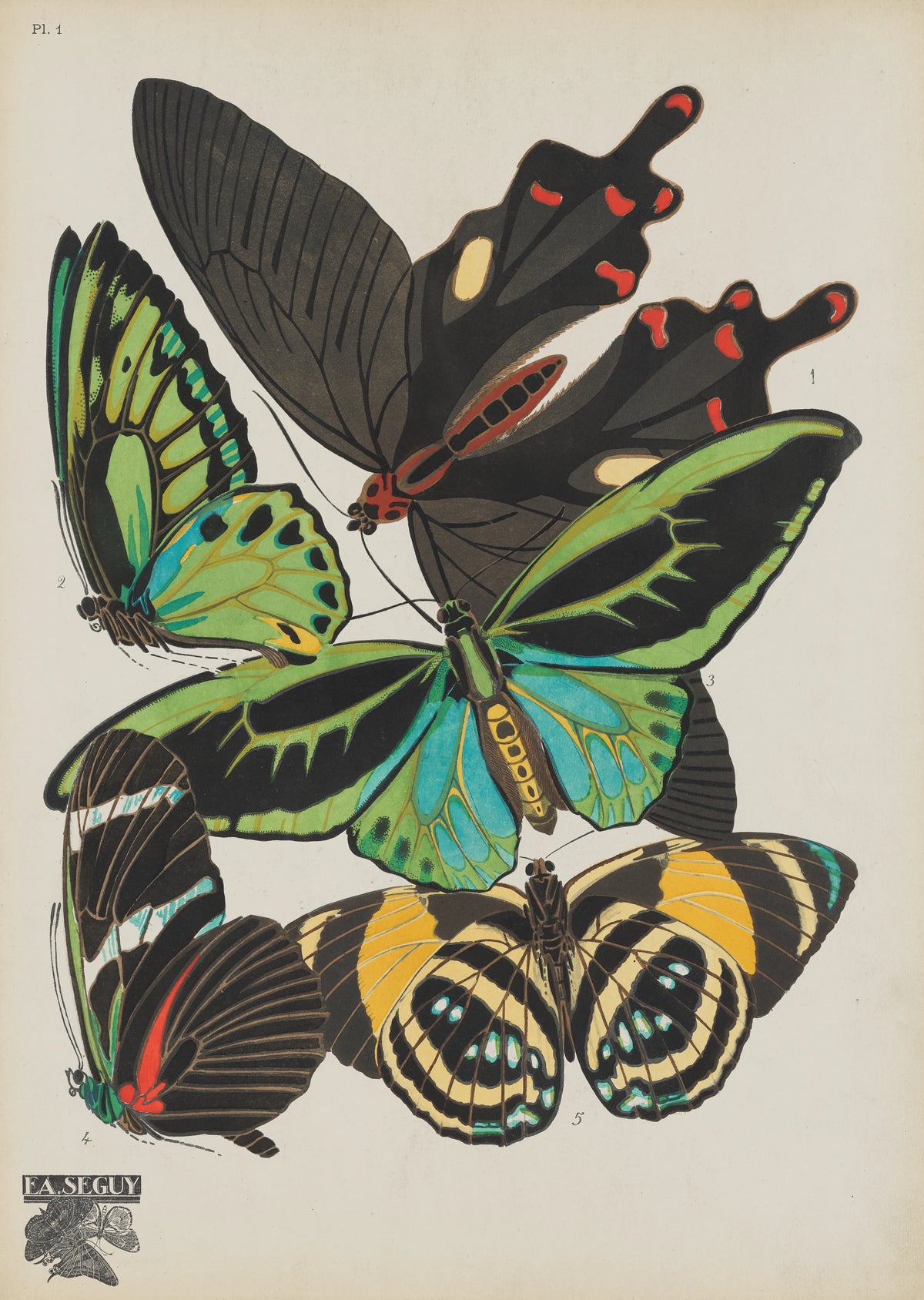 Emile-Allain Séguy - Papillons Pl.01 (1920)