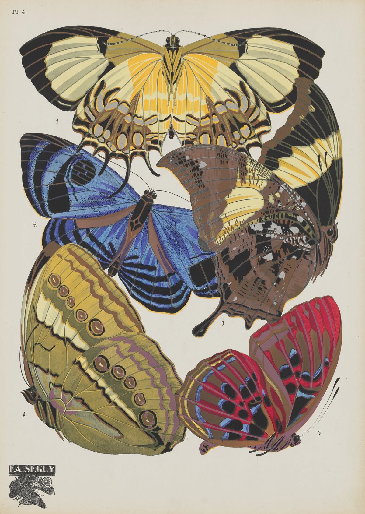 Emile-Allain Séguy - Papillons Pl.04 (1920)