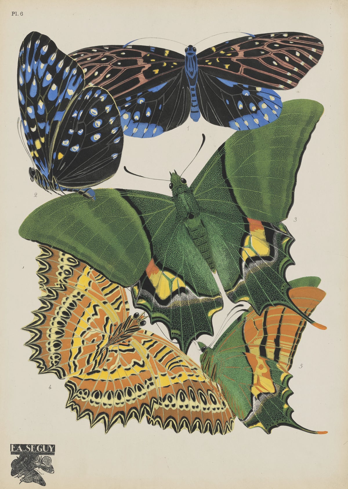 Emile-Allain Séguy - Papillons Pl.06 (1920)