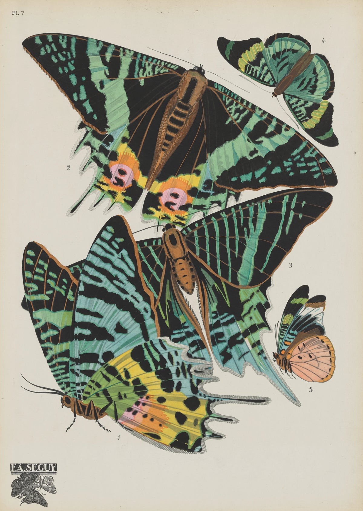 Emile-Allain Séguy - Papillons Pl.07 (1920)