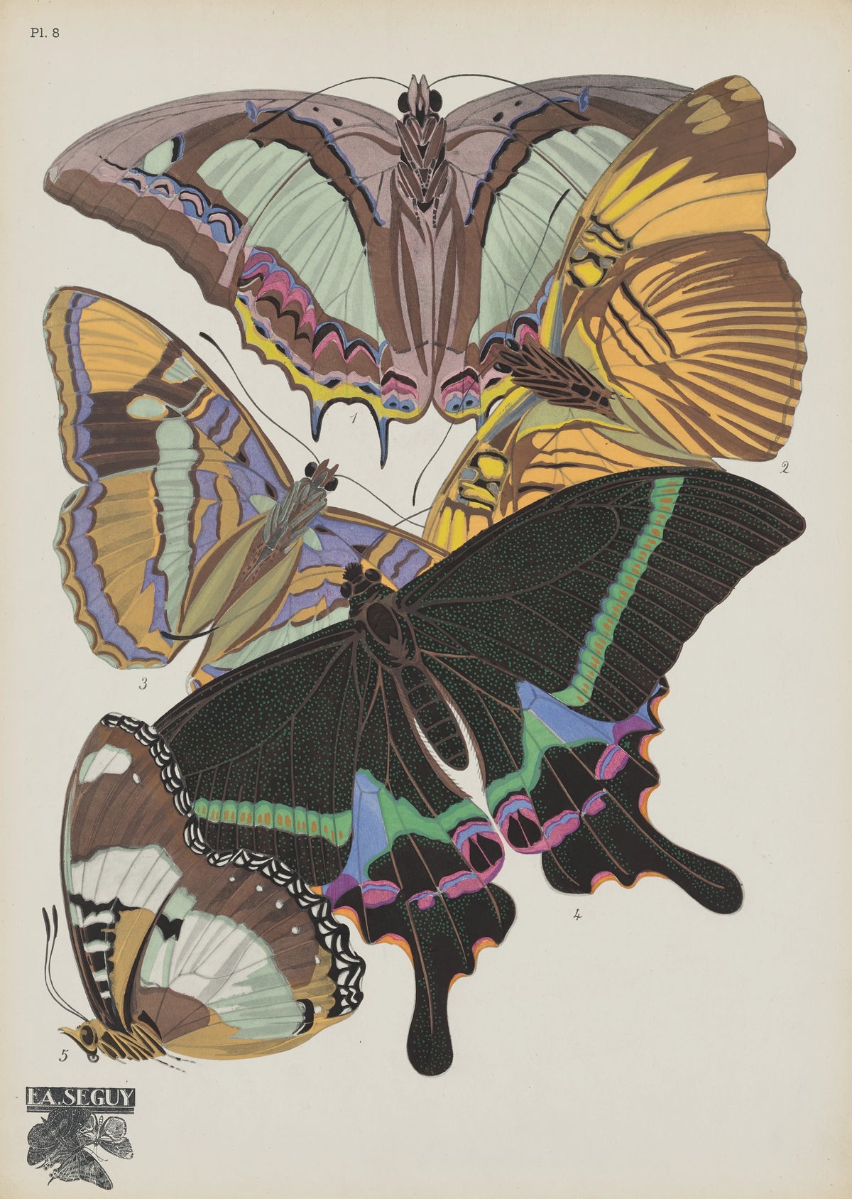 Emile-Allain Séguy - Papillons Pl.08 (1920)