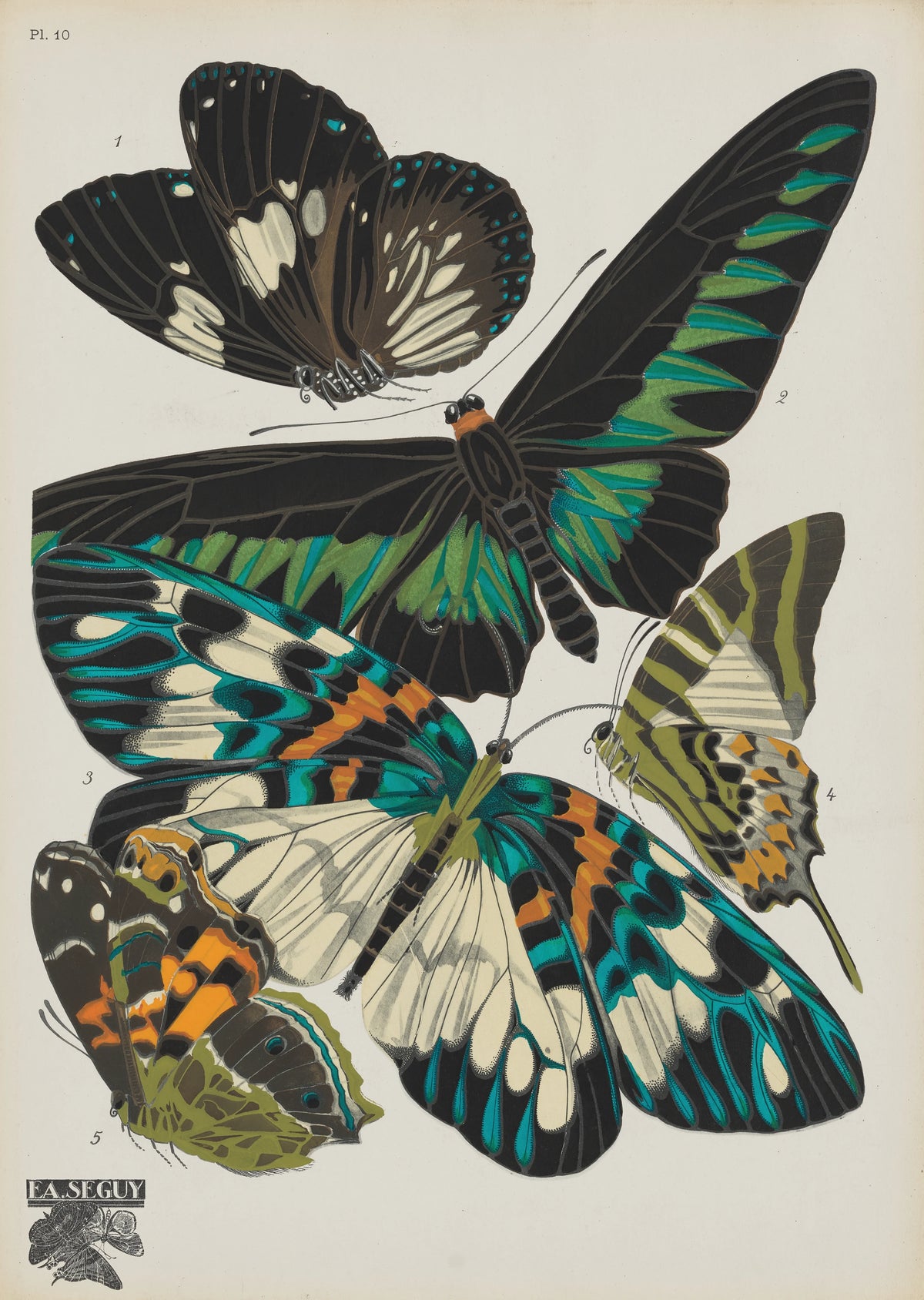 Emile-Allain Séguy - Papillons Pl.10 (1920)