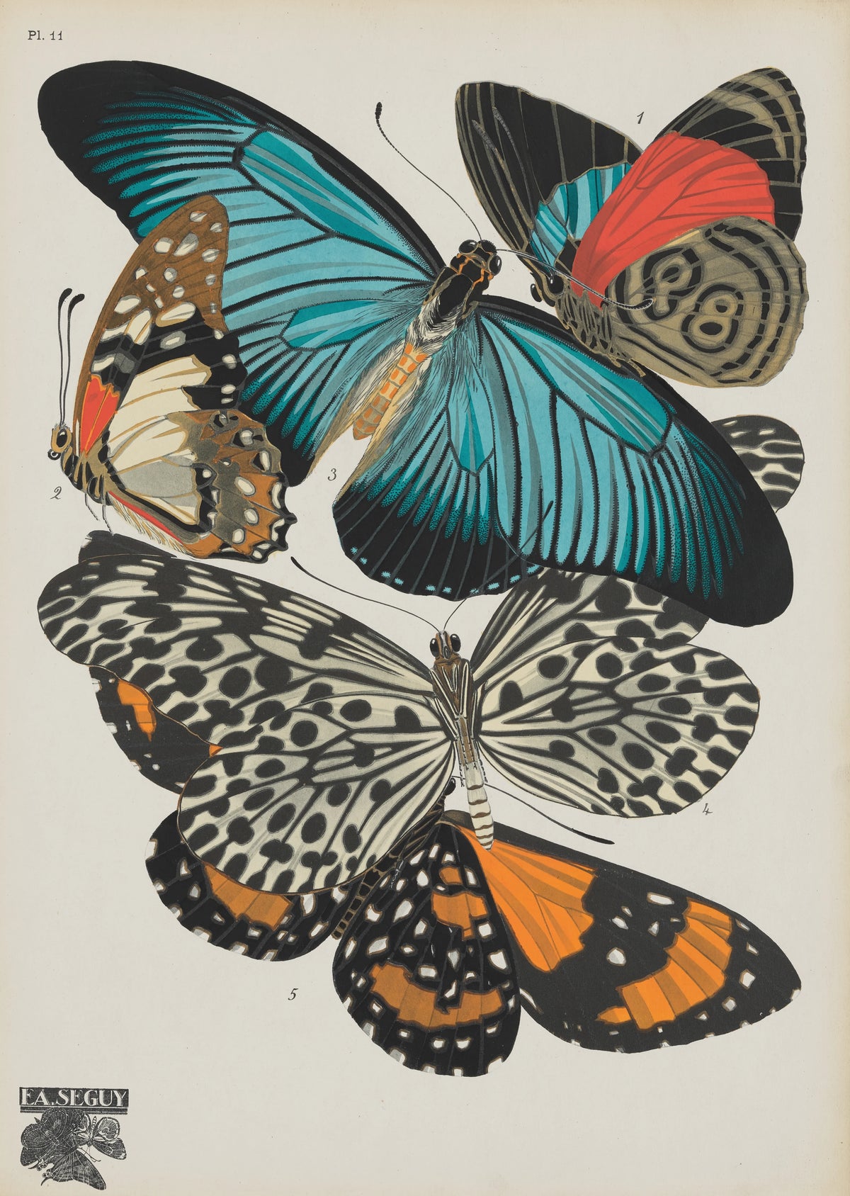 Emile-Allain Séguy - Papillons Pl.11 (1920)