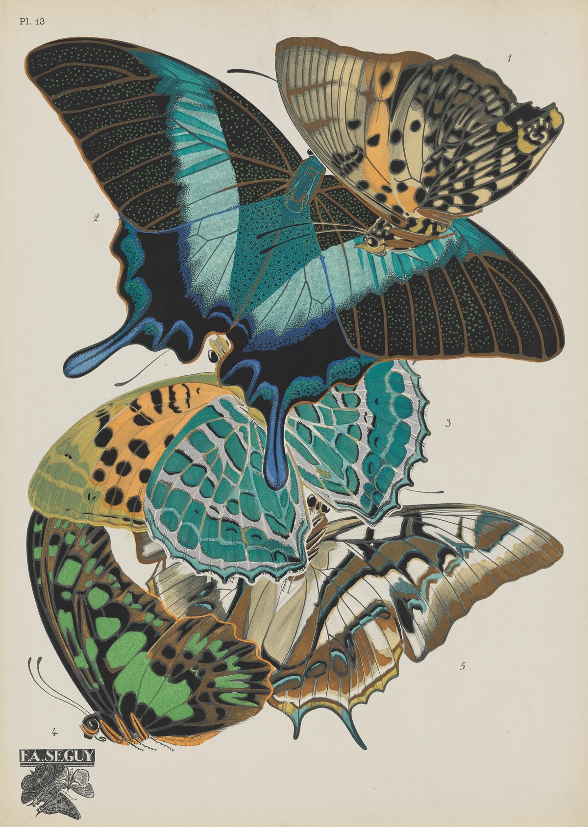 Emile-Allain Séguy - Papillons Pl.13 (1920)