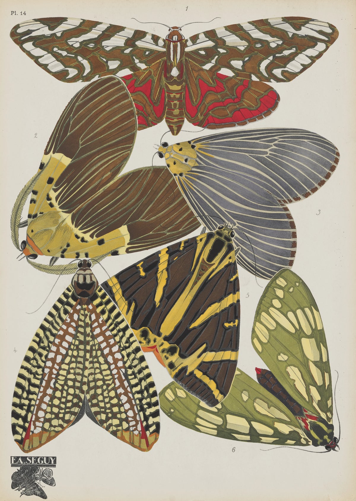 Emile-Allain Séguy - Papillons Pl.14 (1920)