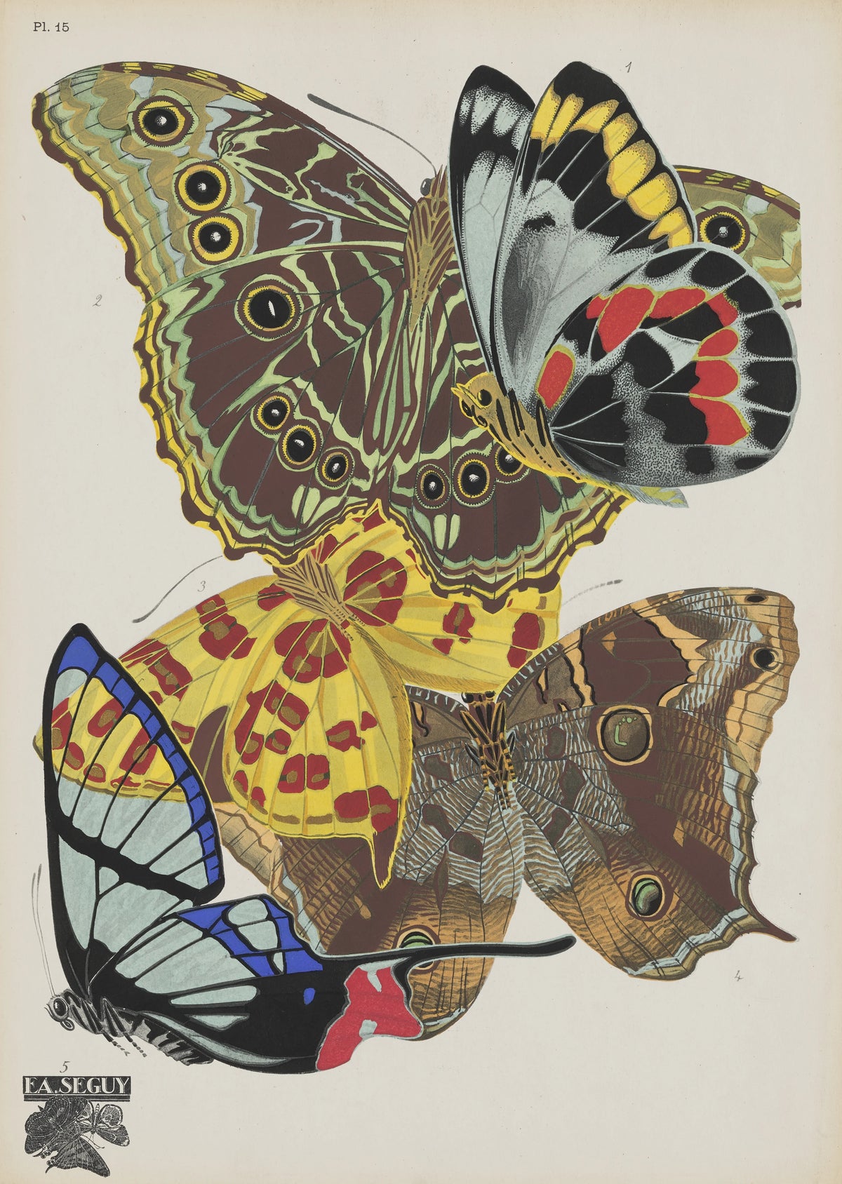 Emile-Allain Séguy - Papillons Pl.15 (1920)