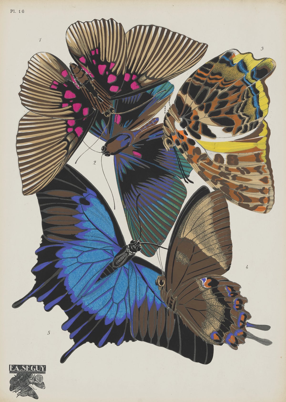Emile-Allain Séguy - Papillons Pl.16 (1920)